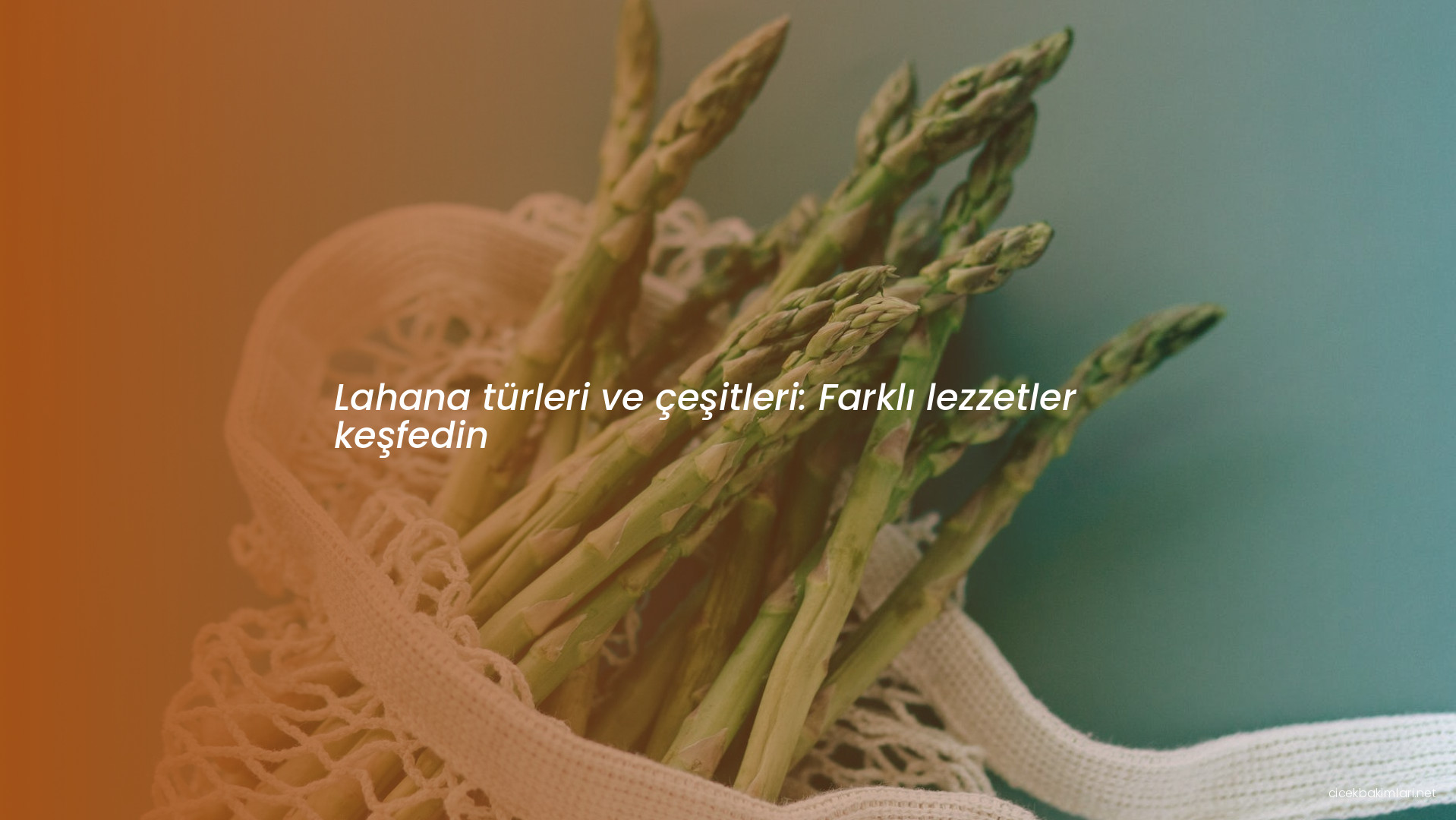 Lahana türleri ve çeşitleri: Farklı lezzetler keşfedin