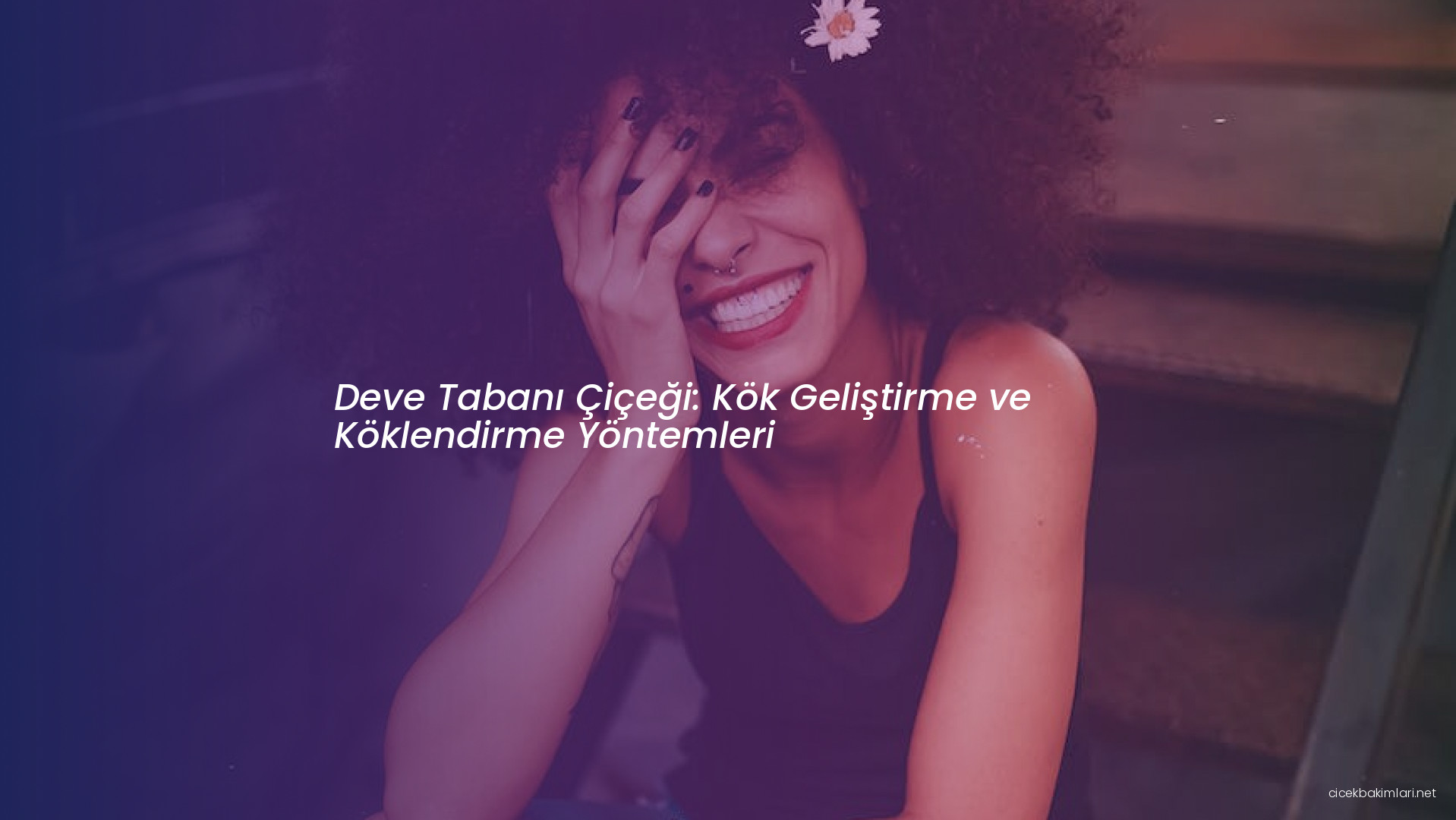 Deve Tabanı Çiçeği: Kök Geliştirme ve Köklendirme Yöntemleri