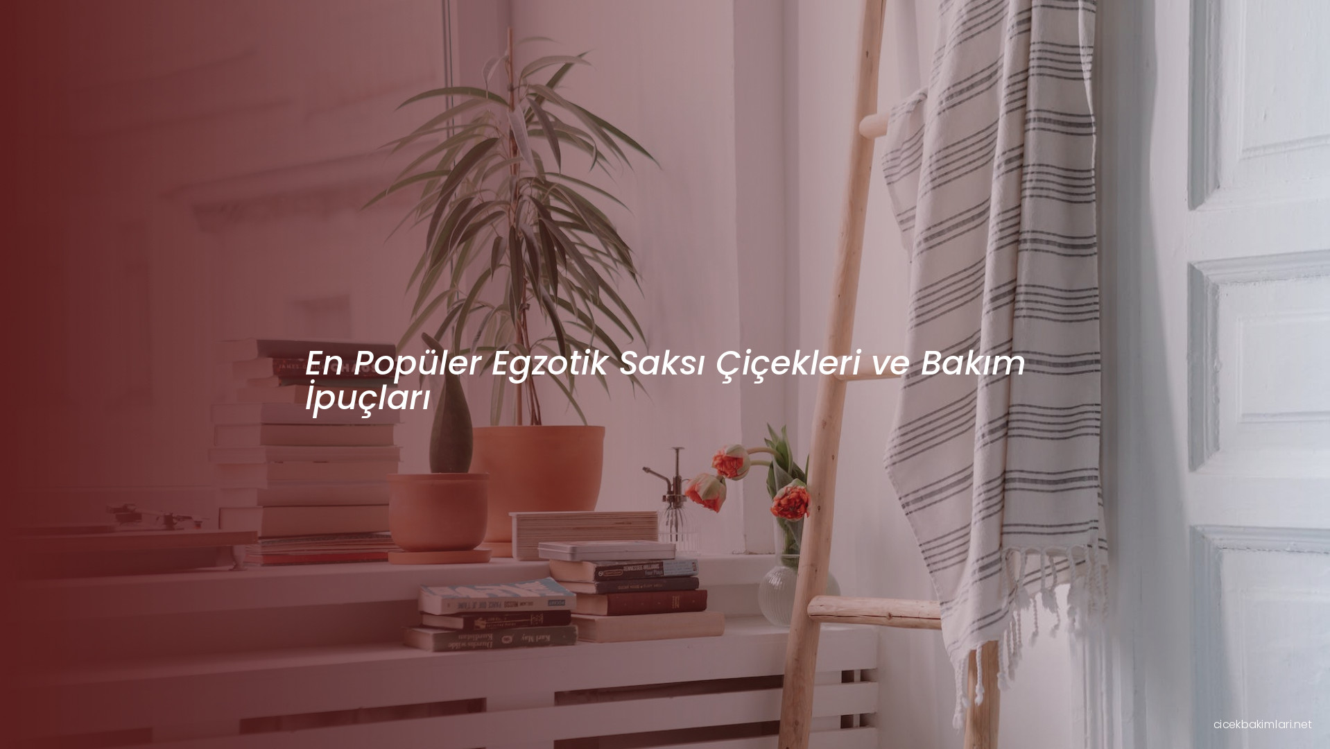 En Popüler Egzotik Saksı Çiçekleri ve Bakım İpuçları