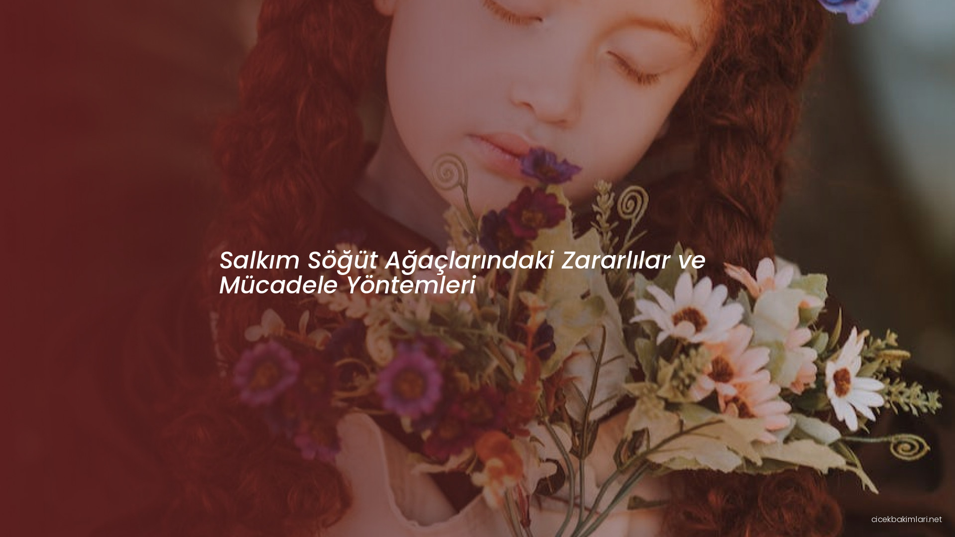 Salkım Söğüt Ağaçlarındaki Zararlılar ve Mücadele Yöntemleri