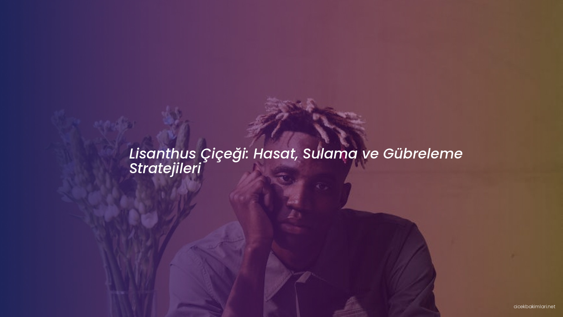 Lisanthus Çiçeği: Hasat, Sulama ve Gübreleme Stratejileri