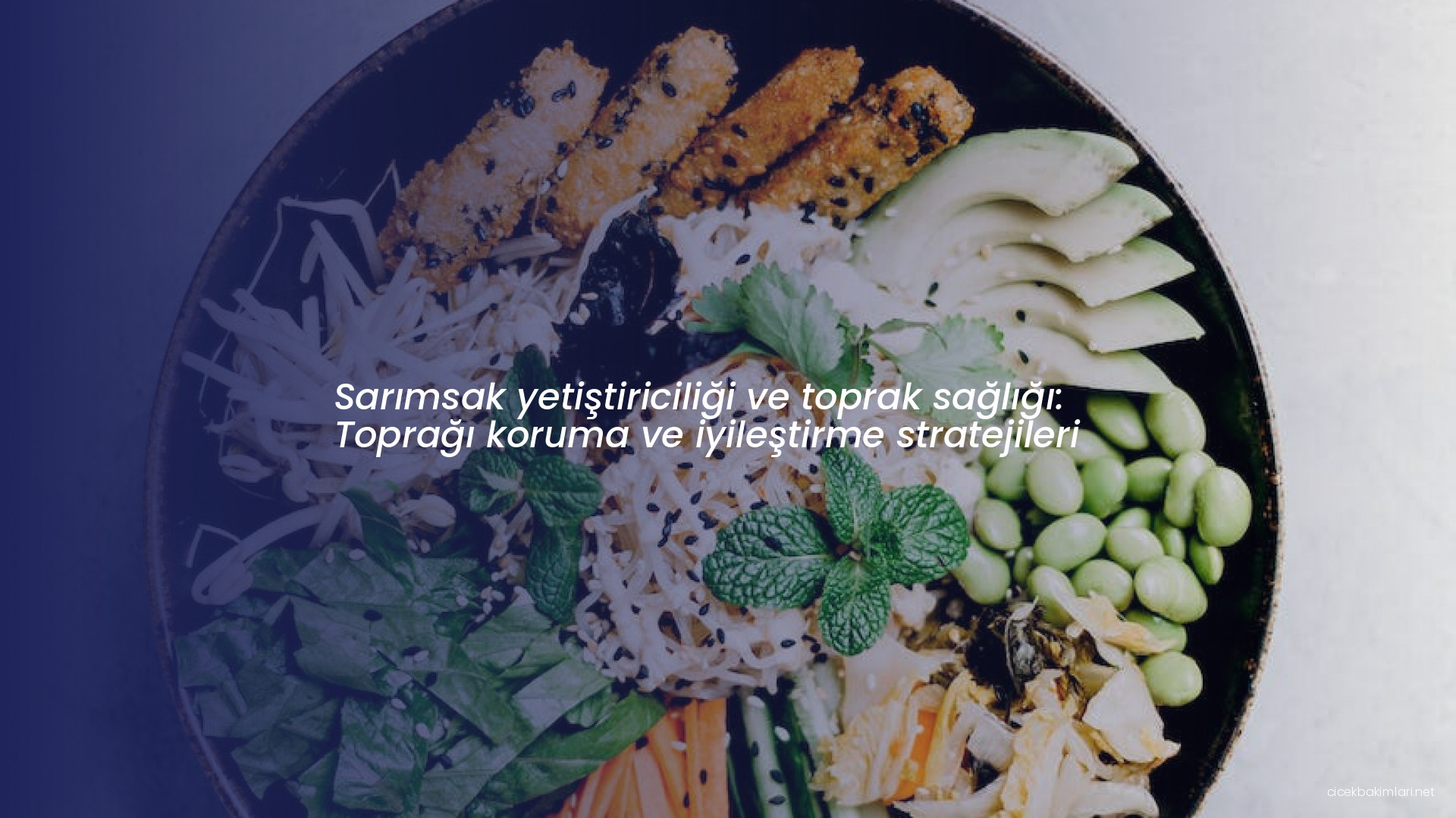 Sarımsak yetiştiriciliği ve toprak sağlığı: Toprağı koruma ve iyileştirme stratejileri