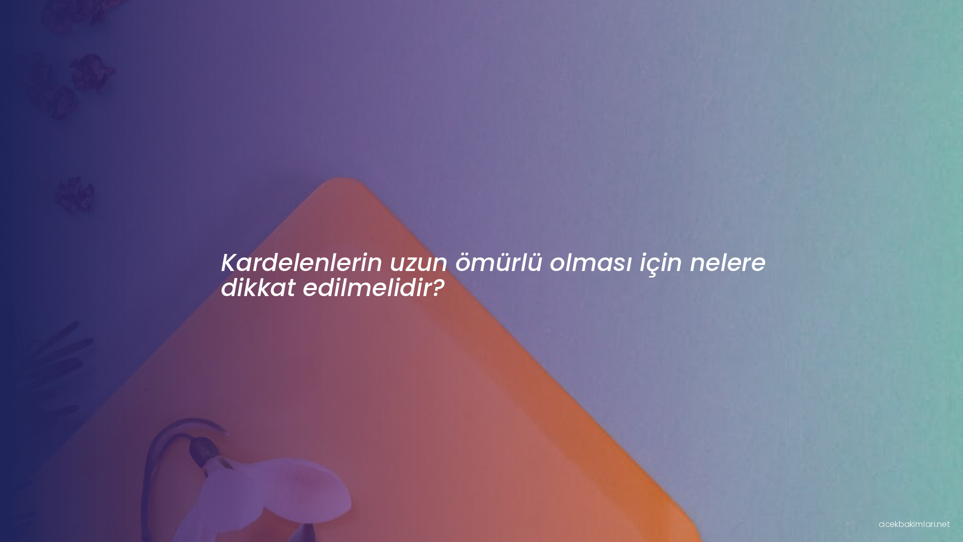 Kardelenlerin uzun ömürlü olması için nelere dikkat edilmelidir?