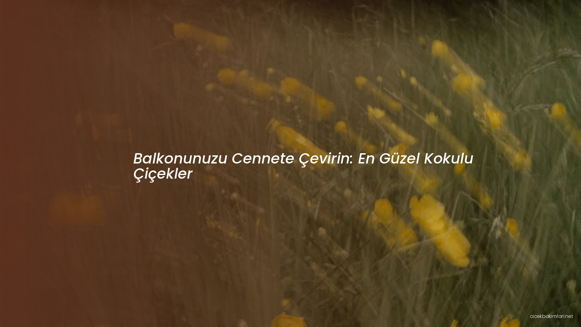 Balkonunuzu Cennete Çevirin: En Güzel Kokulu Çiçekler