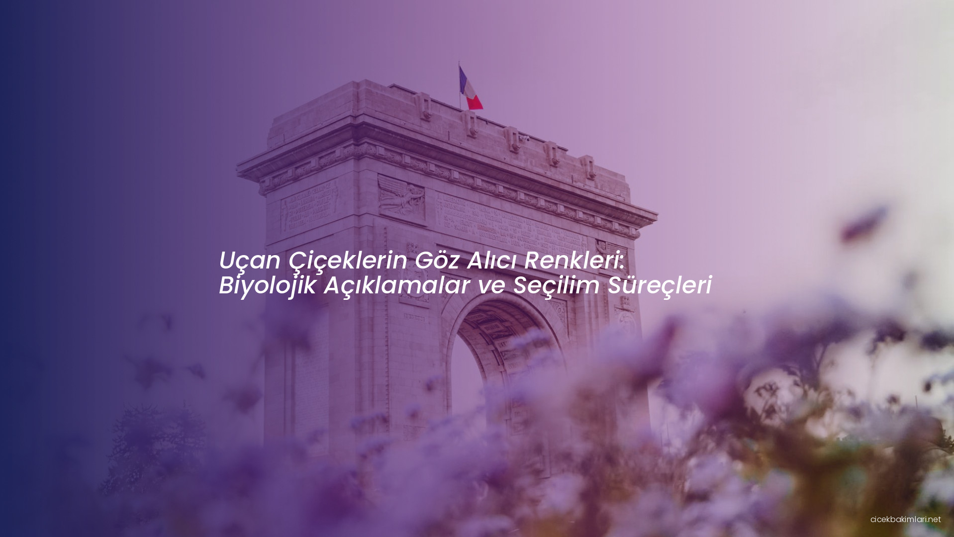 Uçan Çiçeklerin Göz Alıcı Renkleri: Biyolojik Açıklamalar ve Seçilim Süreçleri