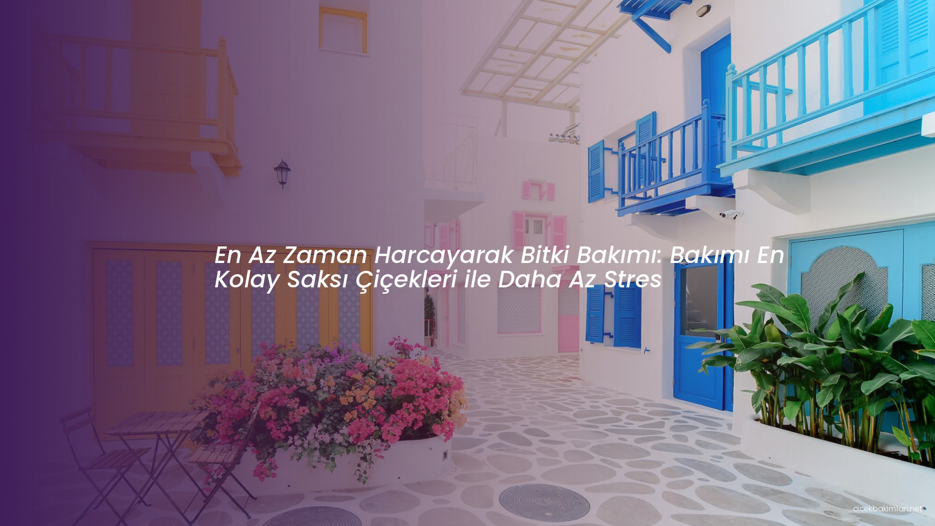 En Az Zaman Harcayarak Bitki Bakımı: Bakımı En Kolay Saksı Çiçekleri ile Daha Az Stres