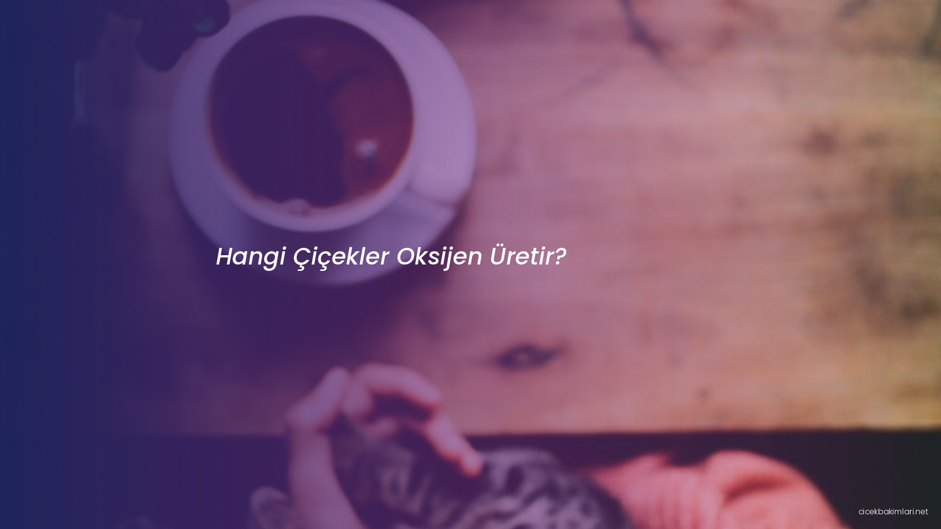 Hangi Çiçekler Oksijen Üretir?