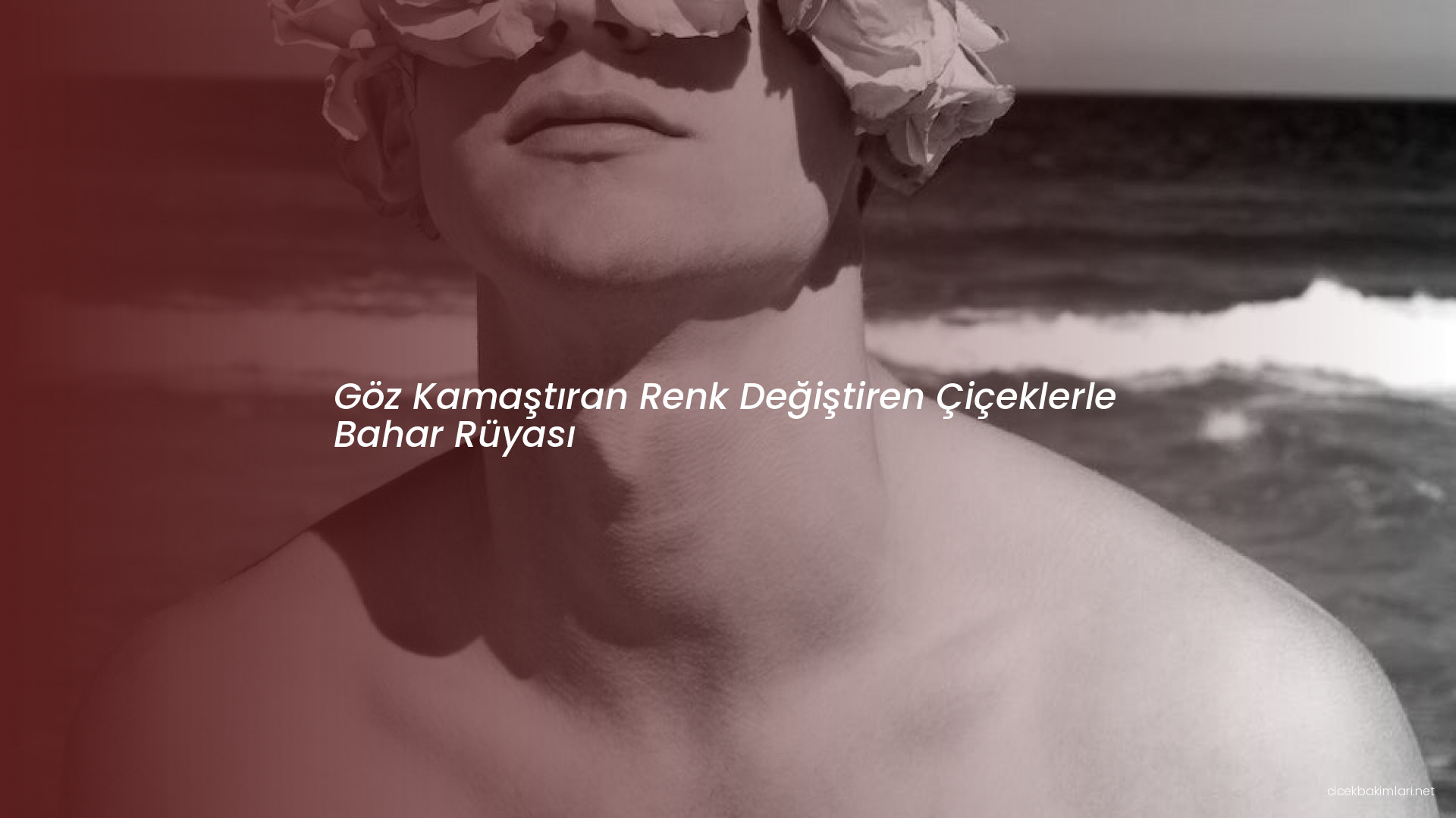 Göz Kamaştıran Renk Değiştiren Çiçeklerle Bahar Rüyası