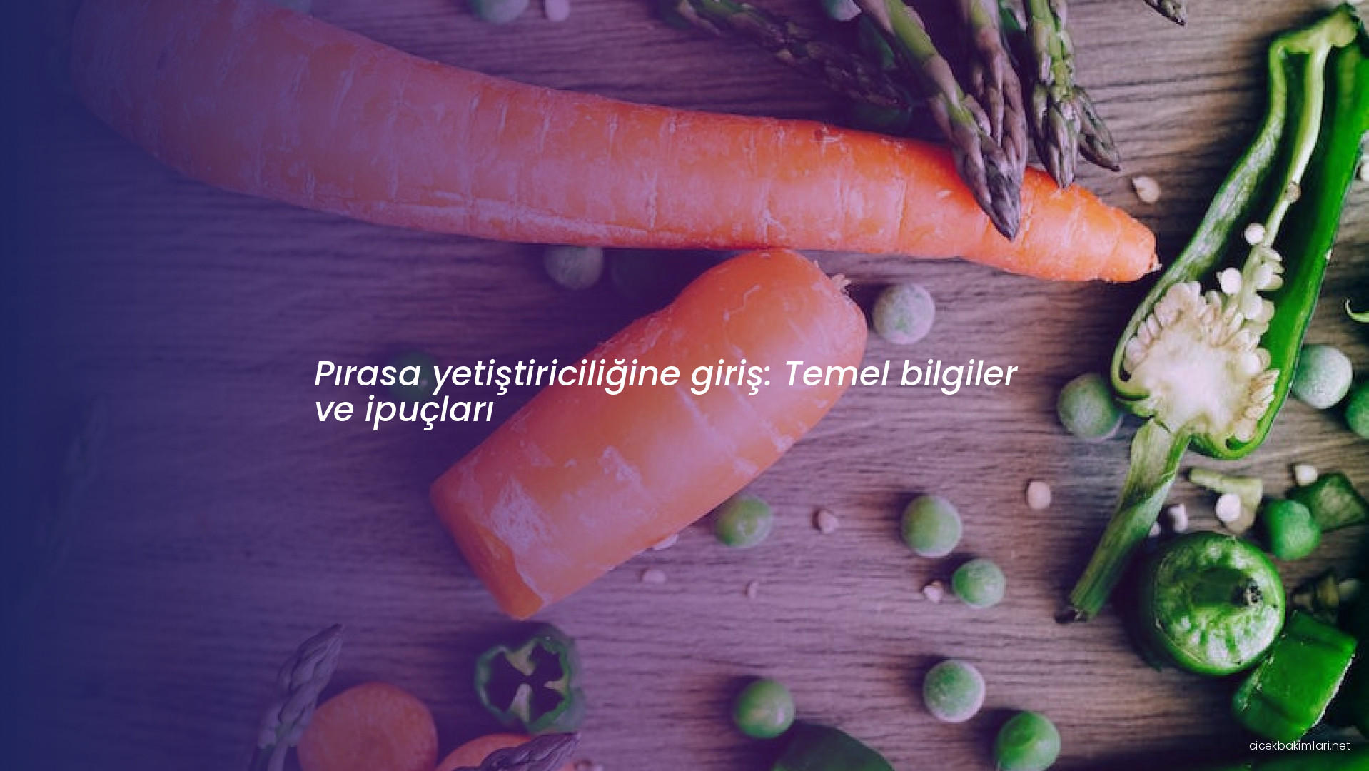 Pırasa yetiştiriciliğine giriş: Temel bilgiler ve ipuçları
