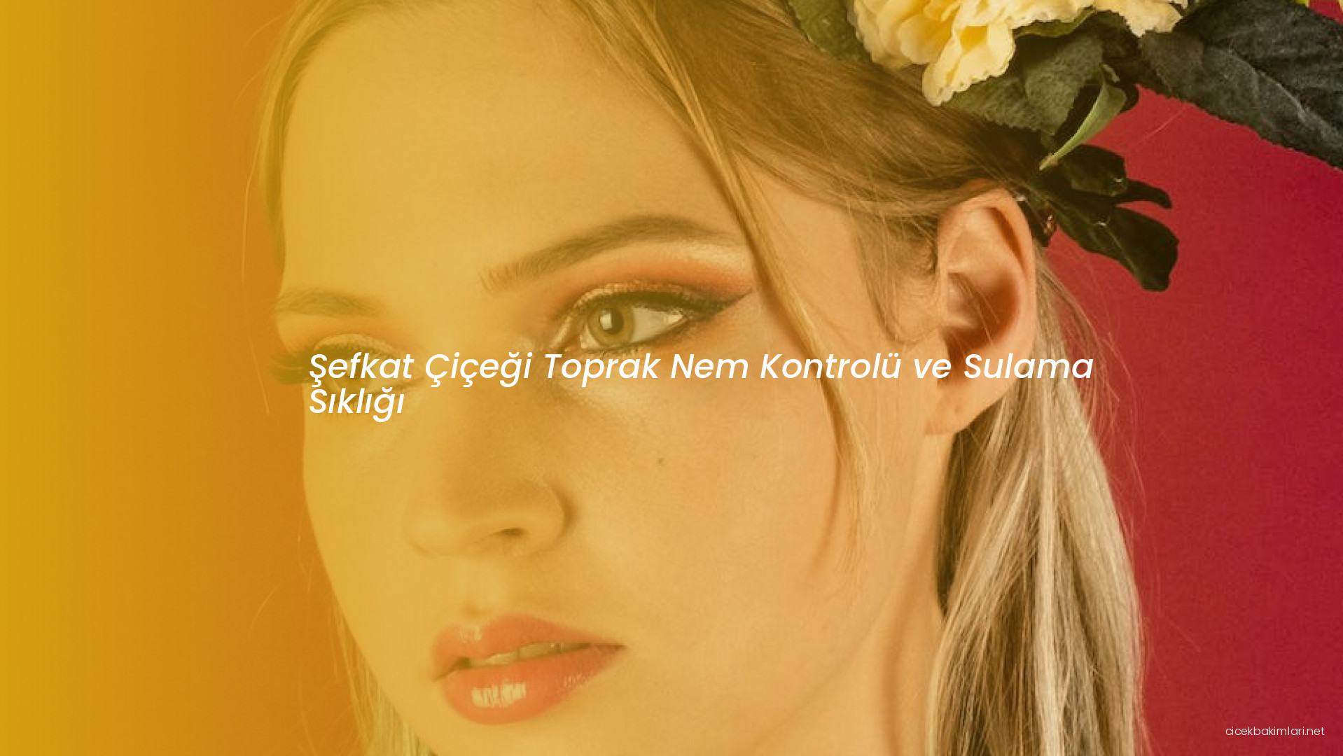 Şefkat Çiçeği Toprak Nem Kontrolü ve Sulama Sıklığı