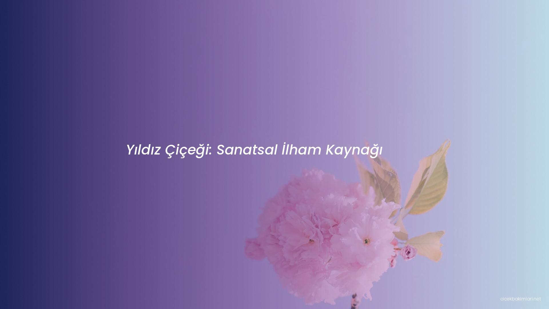 Yıldız Çiçeği: Sanatsal İlham Kaynağı