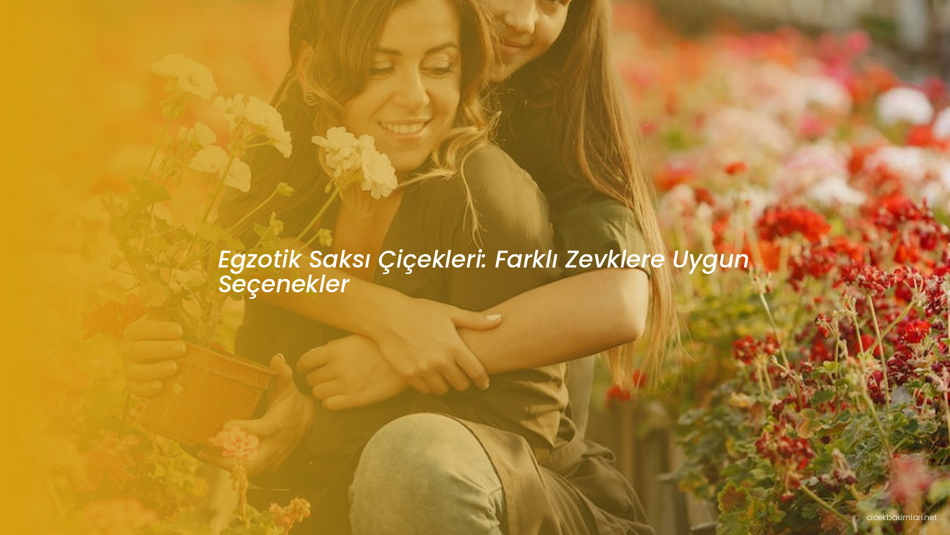 Egzotik Saksı Çiçekleri: Farklı Zevklere Uygun Seçenekler