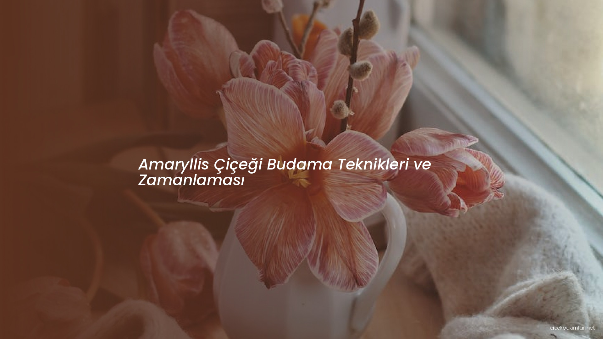 Amaryllis Çiçeği Budama Teknikleri ve Zamanlaması