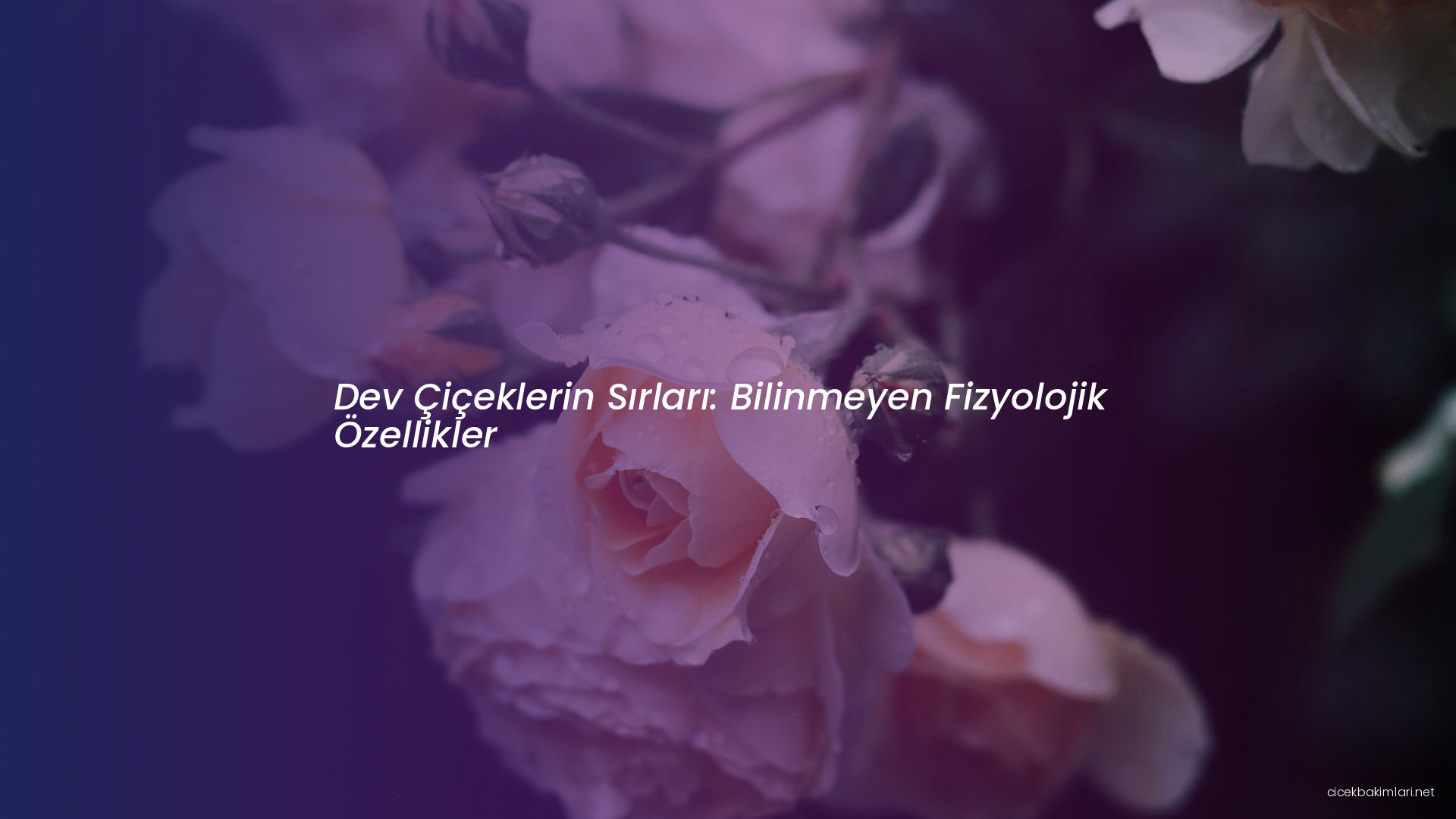 Dev Çiçeklerin Sırları: Bilinmeyen Fizyolojik Özellikler