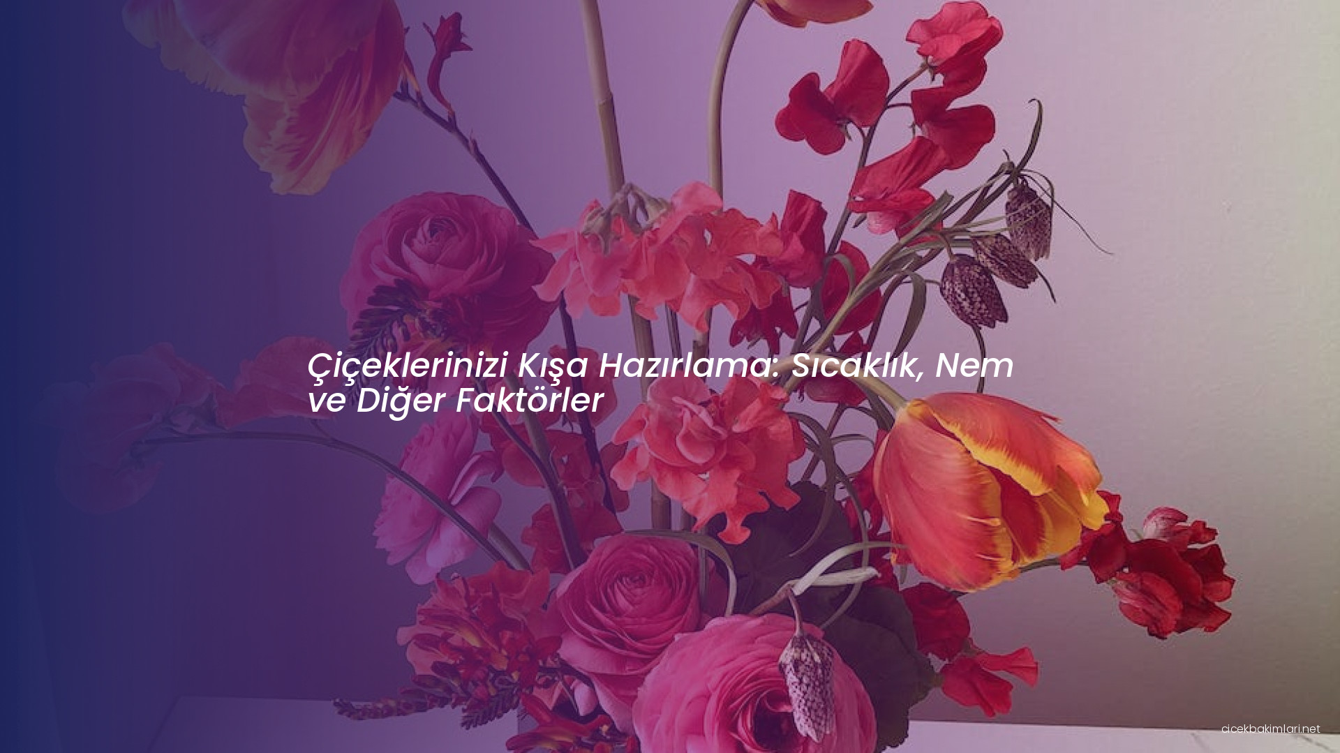 Çiçeklerinizi Kışa Hazırlama: Sıcaklık, Nem ve Diğer Faktörler