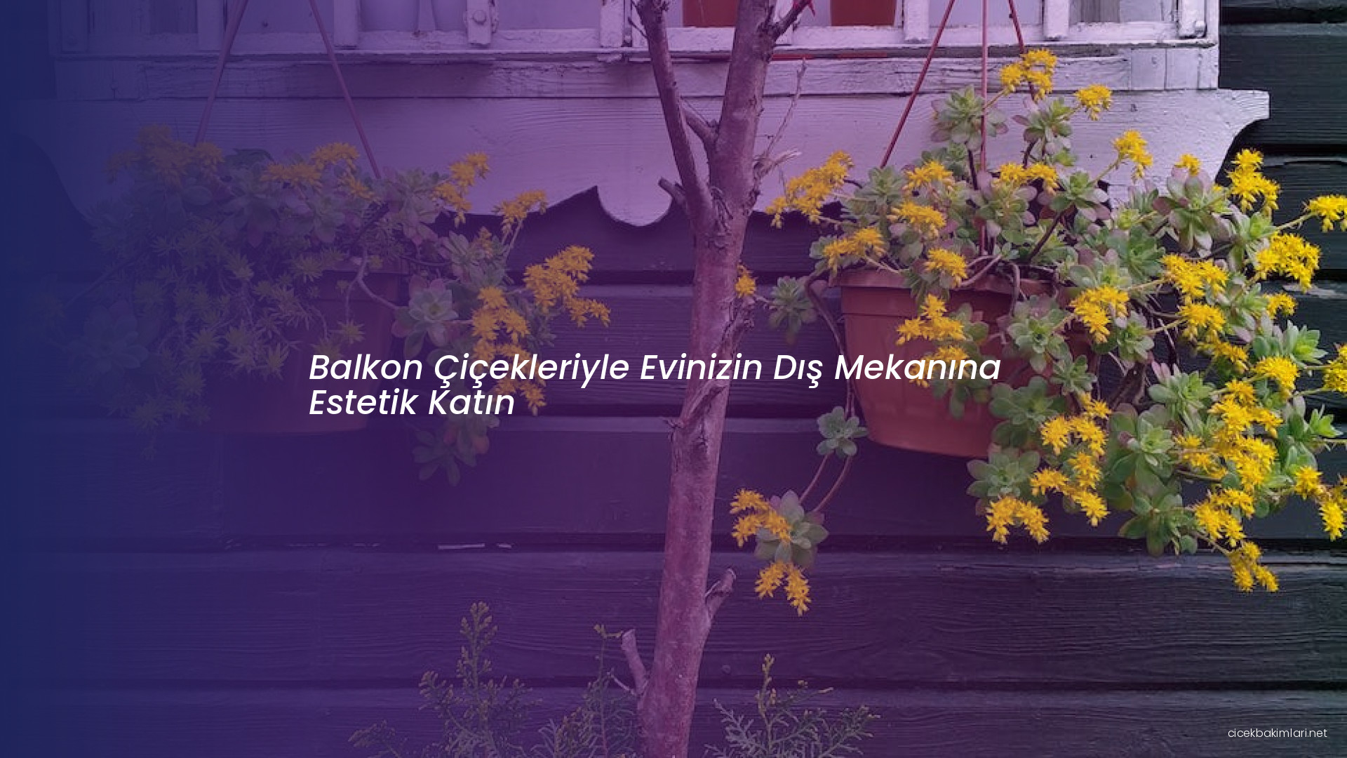 Balkon Çiçekleriyle Evinizin Dış Mekanına Estetik Katın