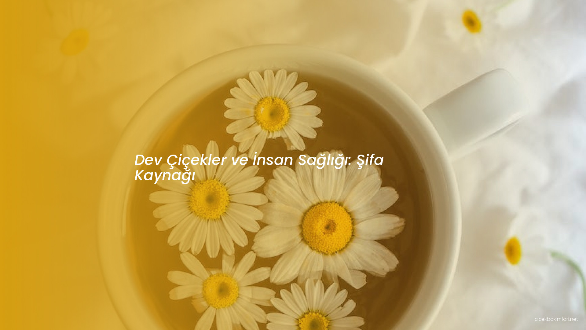 Dev Çiçekler ve İnsan Sağlığı: Şifa Kaynağı