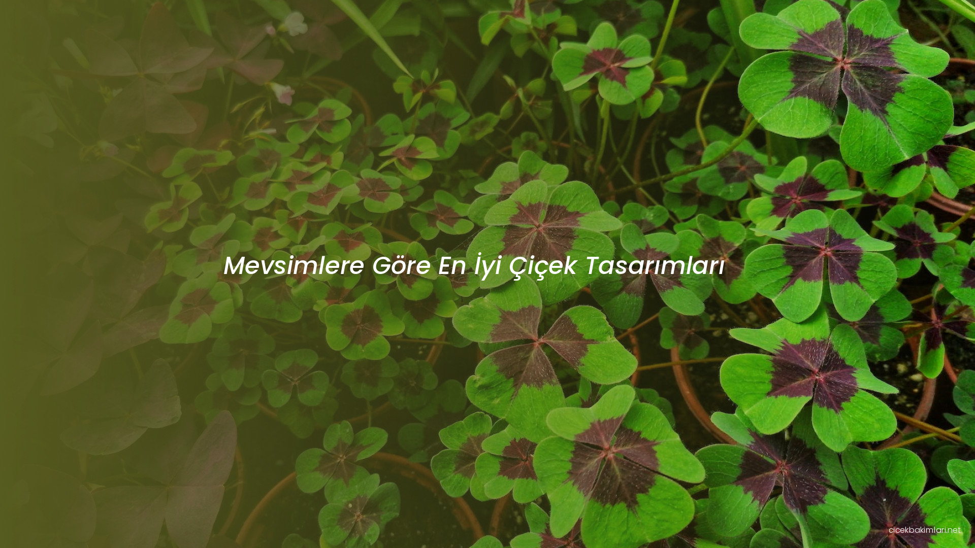 Mevsimlere Göre En İyi Çiçek Tasarımları