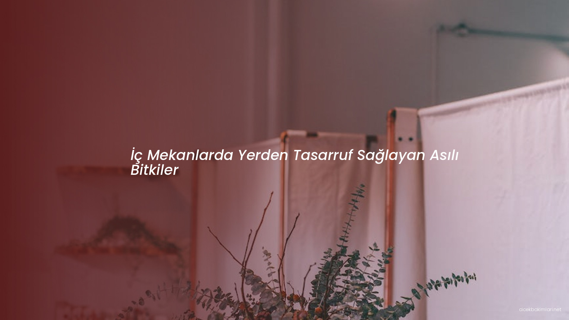 İç Mekanlarda Yerden Tasarruf Sağlayan Asılı Bitkiler