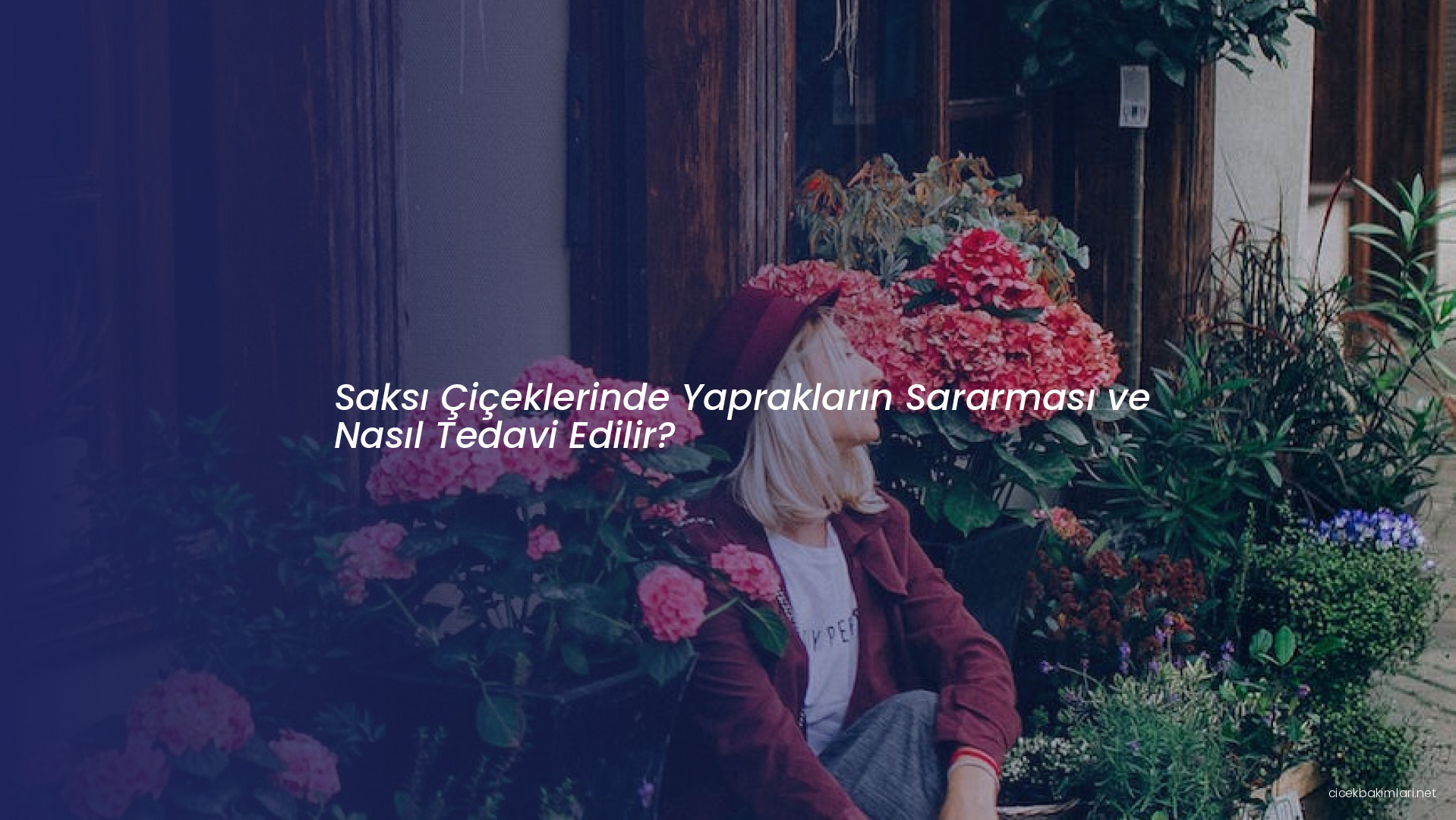 Saksı Çiçeklerinde Yaprakların Sararması ve Nasıl Tedavi Edilir?