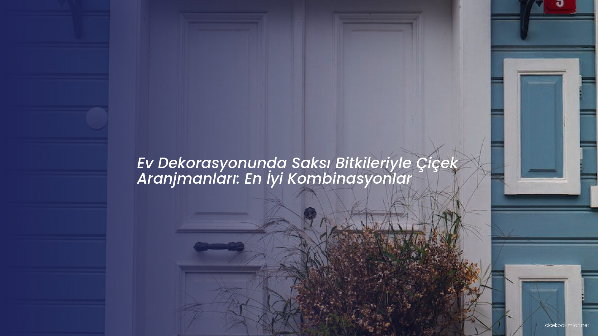 Ev Dekorasyonunda Saksı Bitkileriyle Çiçek Aranjmanları: En İyi Kombinasyonlar