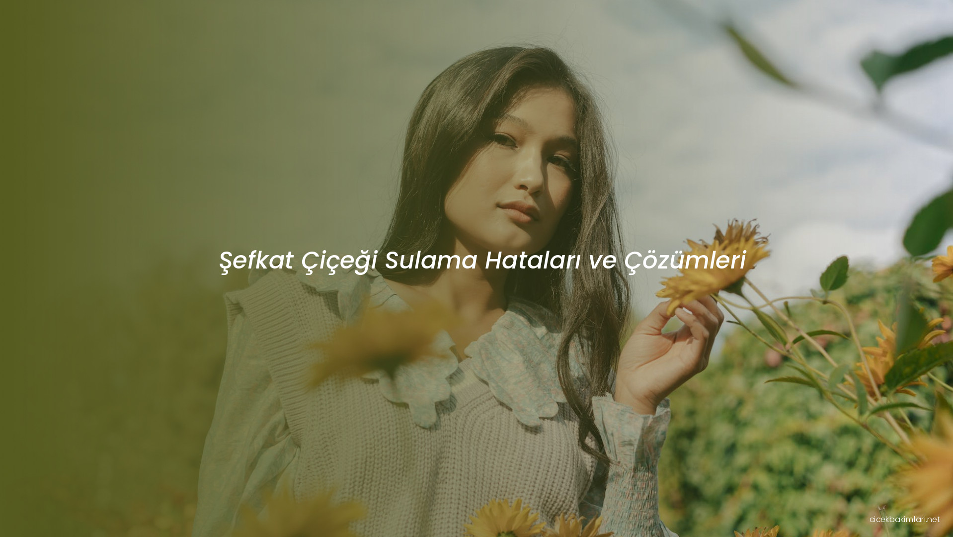 Şefkat Çiçeği Sulama Hataları ve Çözümleri