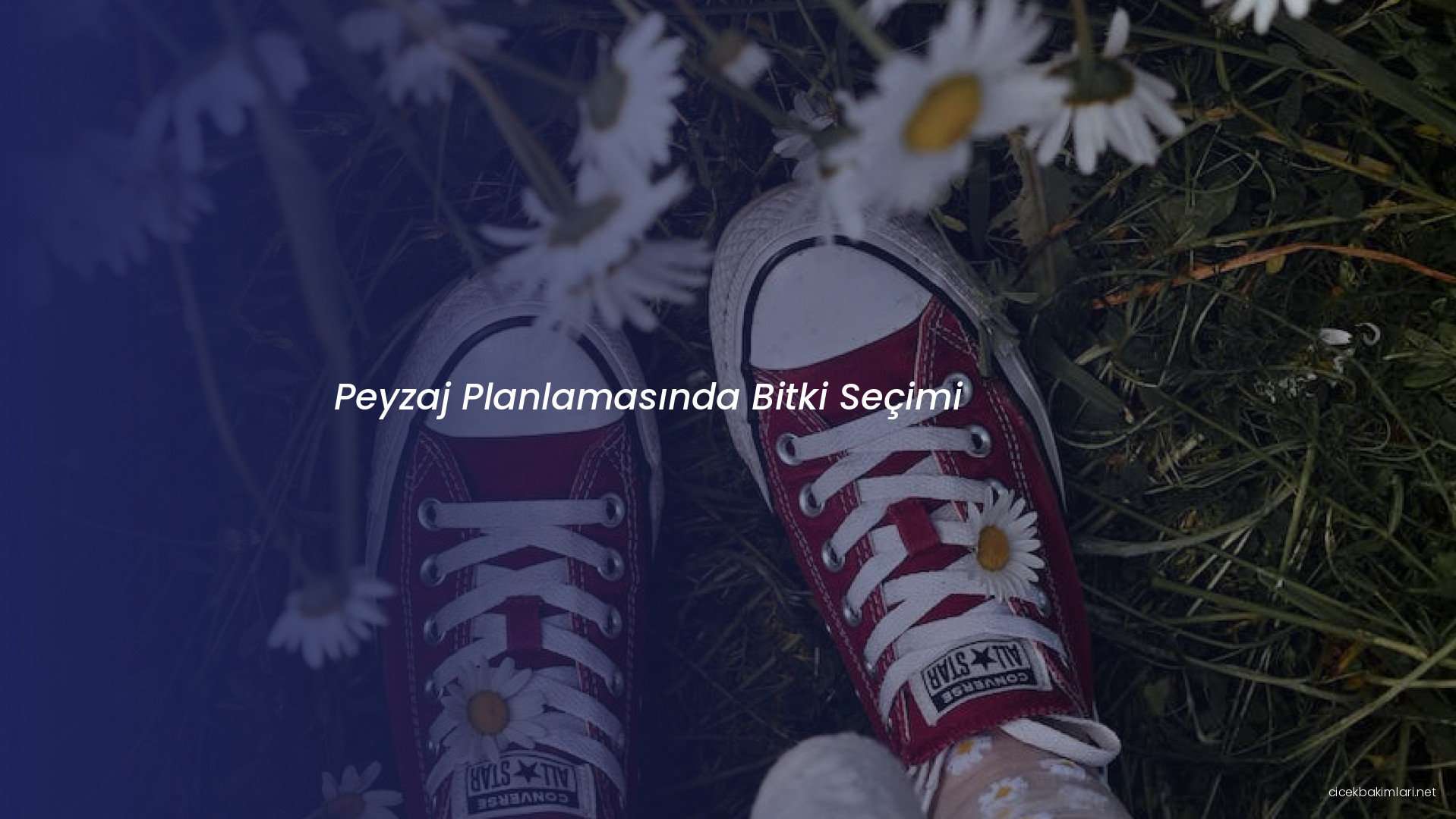 Peyzaj Planlamasında Bitki Seçimi