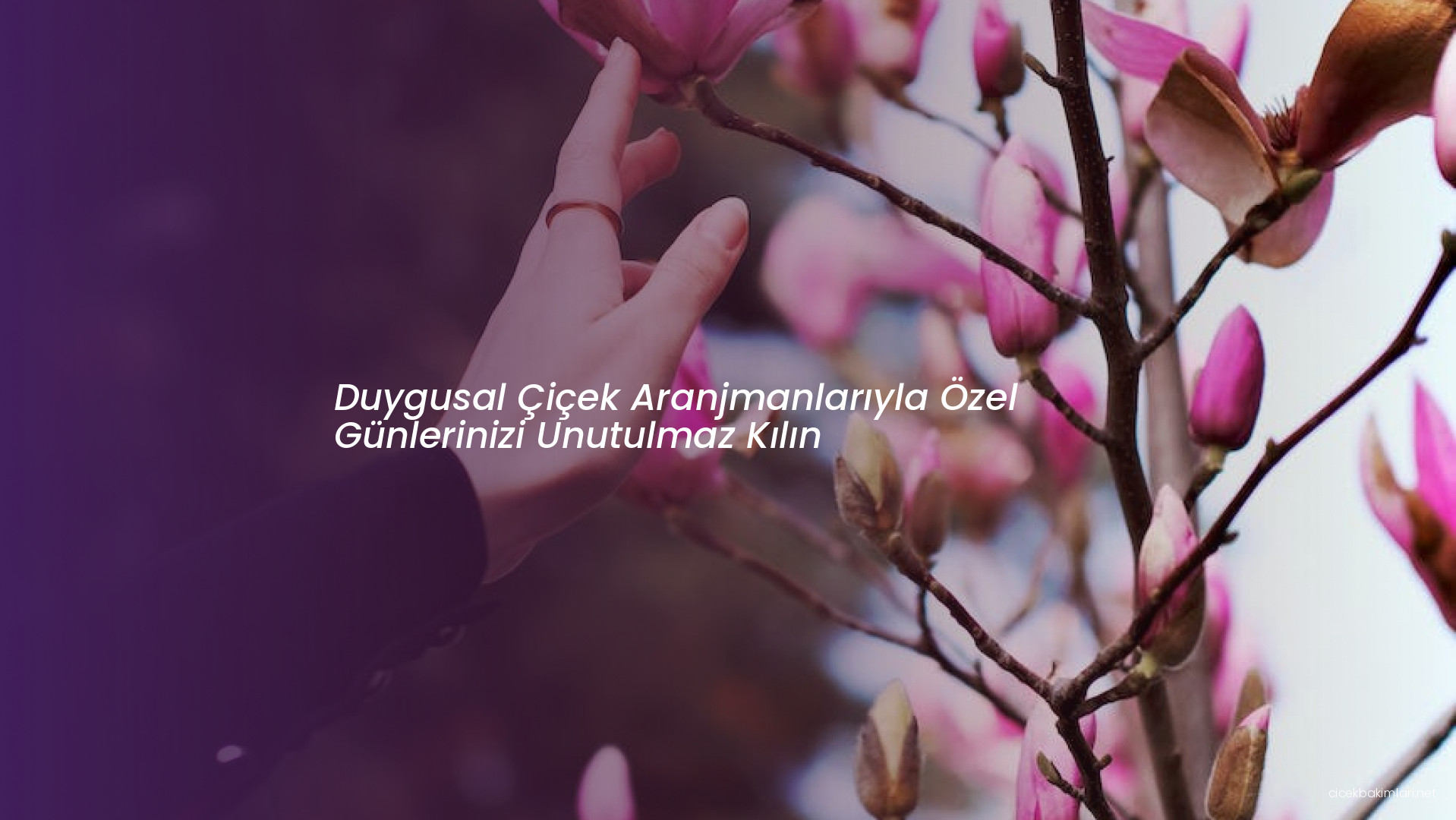 Duygusal Çiçek Aranjmanlarıyla Özel Günlerinizi Unutulmaz Kılın