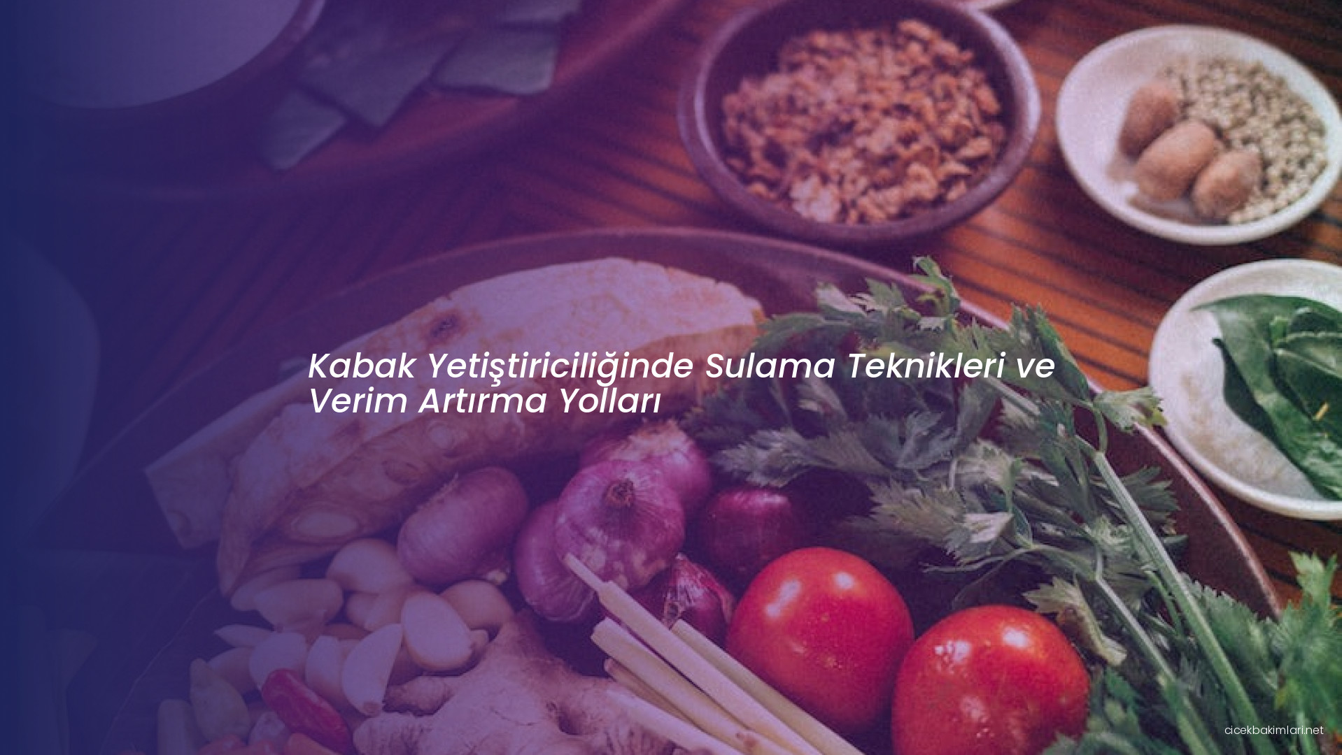 Kabak Yetiştiriciliğinde Sulama Teknikleri ve Verim Artırma Yolları