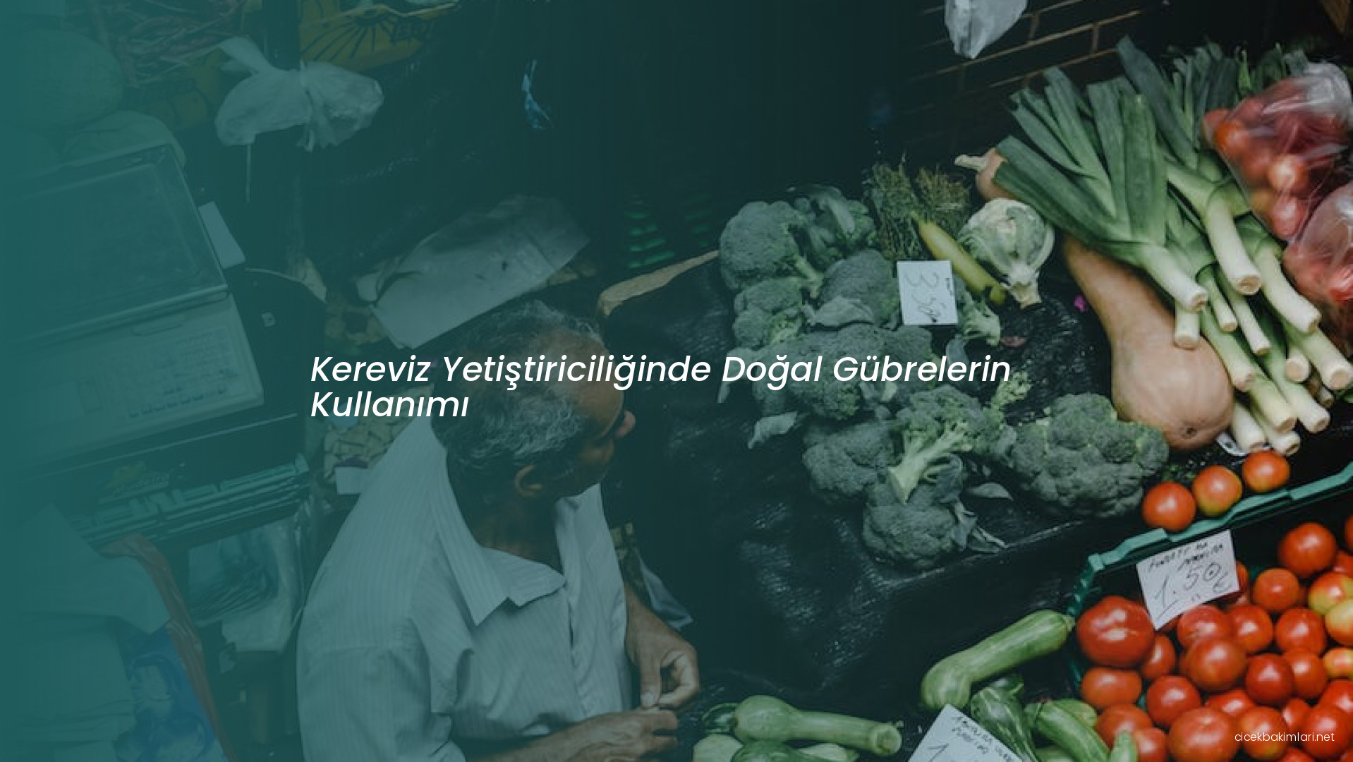 Kereviz Yetiştiriciliğinde Doğal Gübrelerin Kullanımı