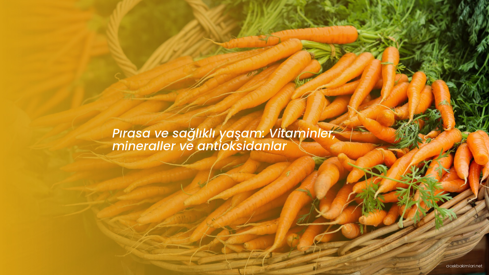 Pırasa ve sağlıklı yaşam: Vitaminler, mineraller ve antioksidanlar