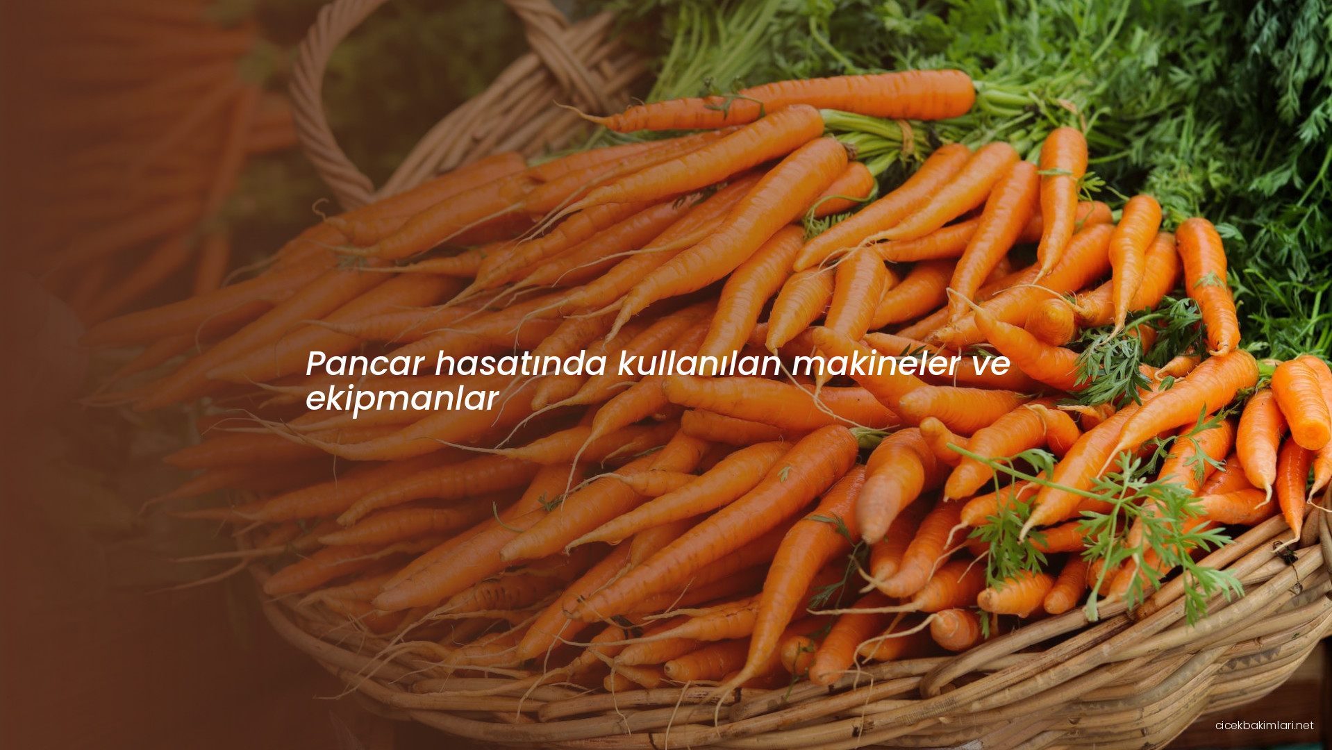 Pancar hasatında kullanılan makineler ve ekipmanlar