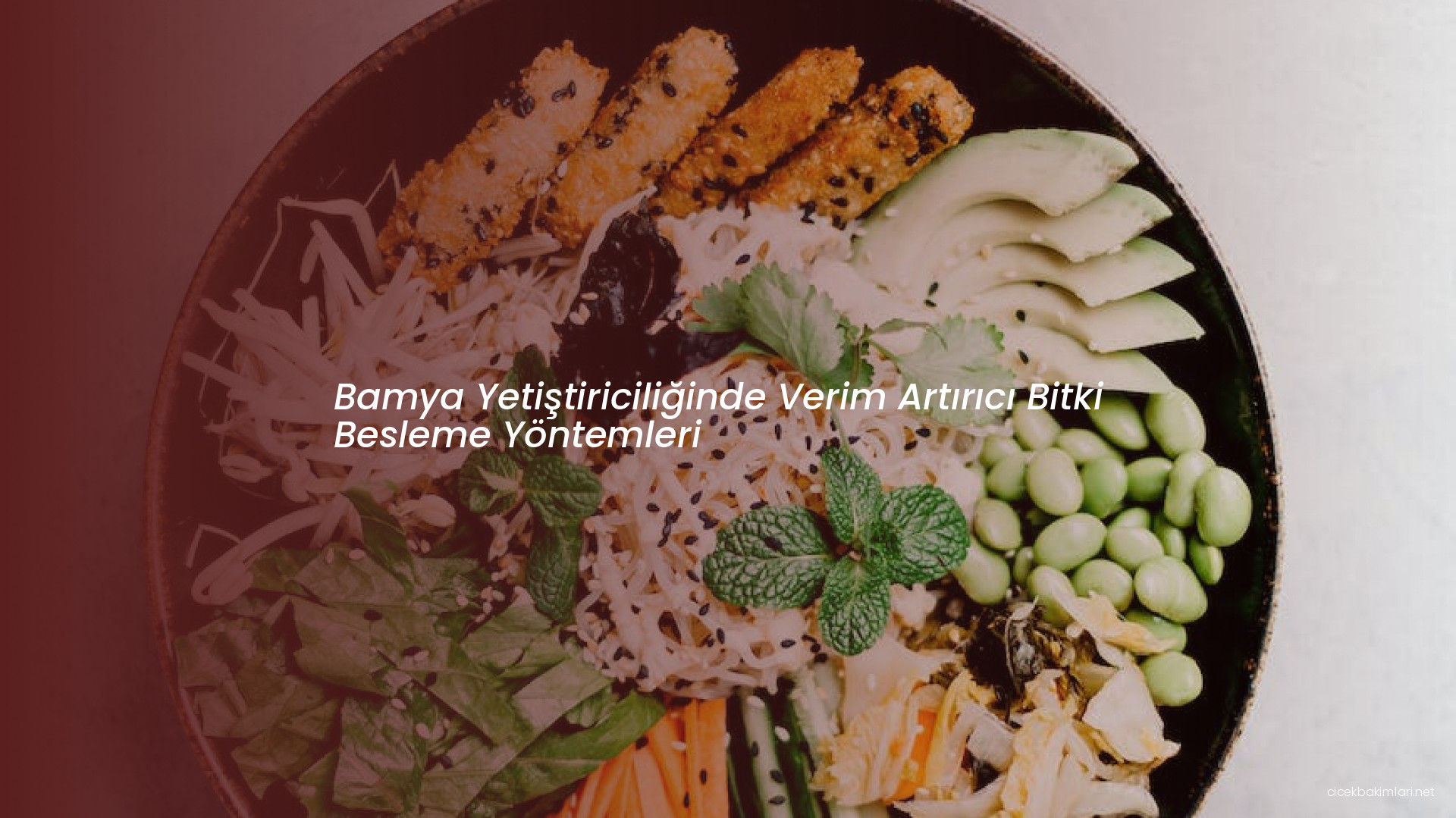 Bamya Yetiştiriciliğinde Verim Artırıcı Bitki Besleme Yöntemleri