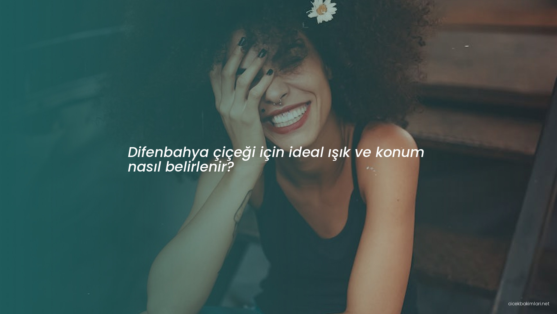 Difenbahya çiçeği için ideal ışık ve konum nasıl belirlenir?