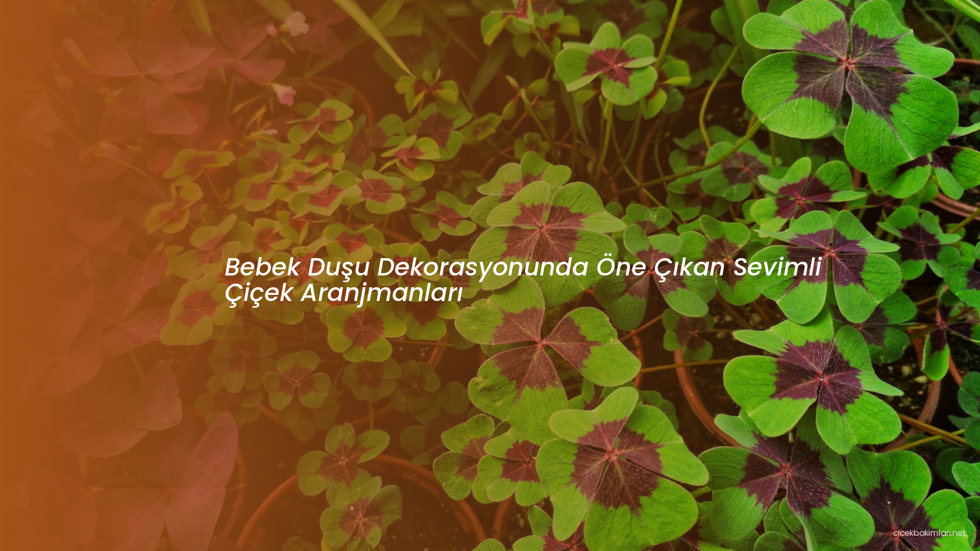 Bebek Duşu Dekorasyonunda Öne Çıkan Sevimli Çiçek Aranjmanları