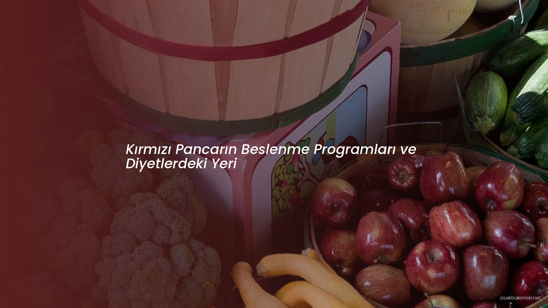 Kırmızı Pancarın Beslenme Programları ve Diyetlerdeki Yeri