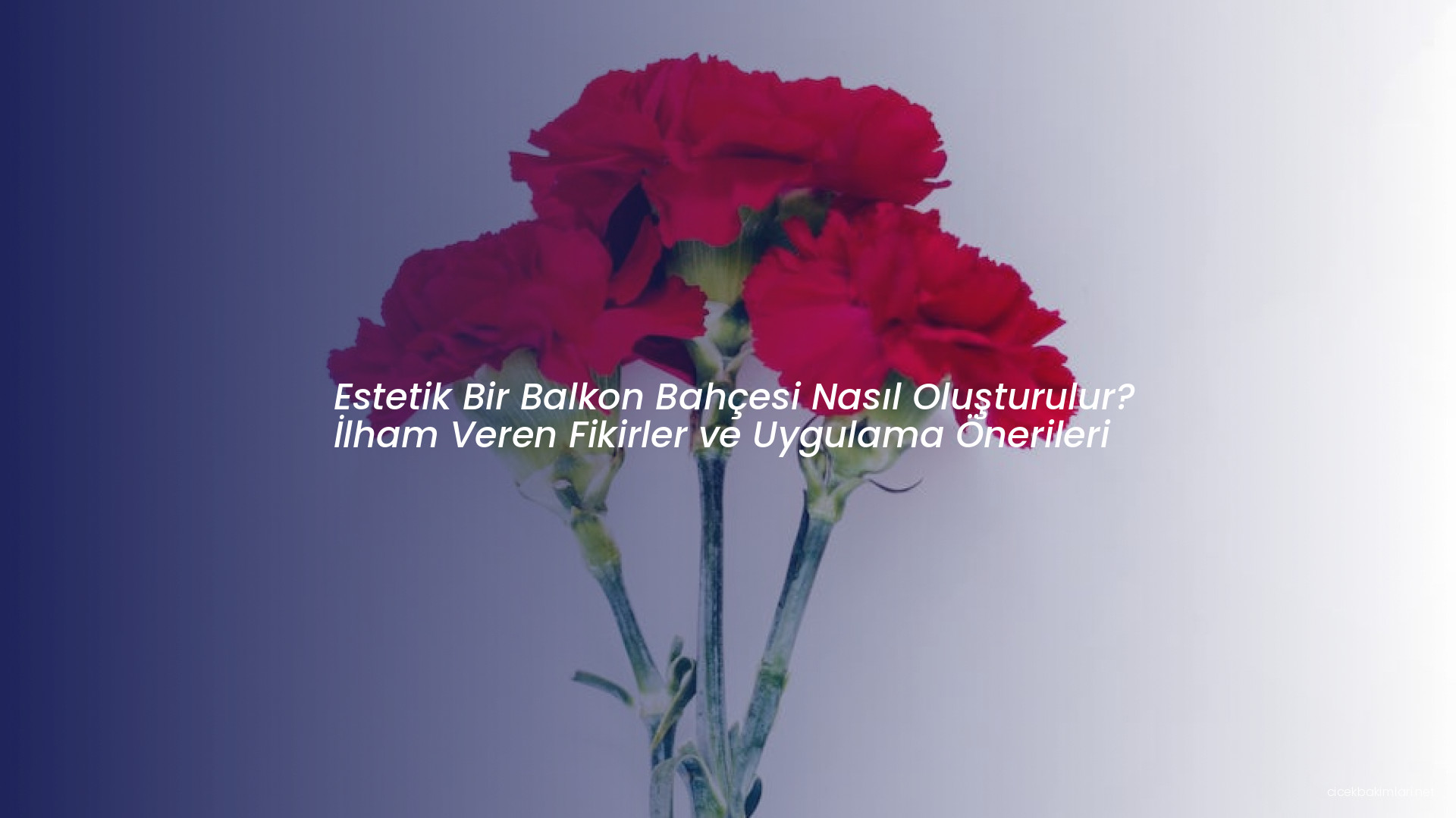 Estetik Bir Balkon Bahçesi Nasıl Oluşturulur? İlham Veren Fikirler ve Uygulama Önerileri