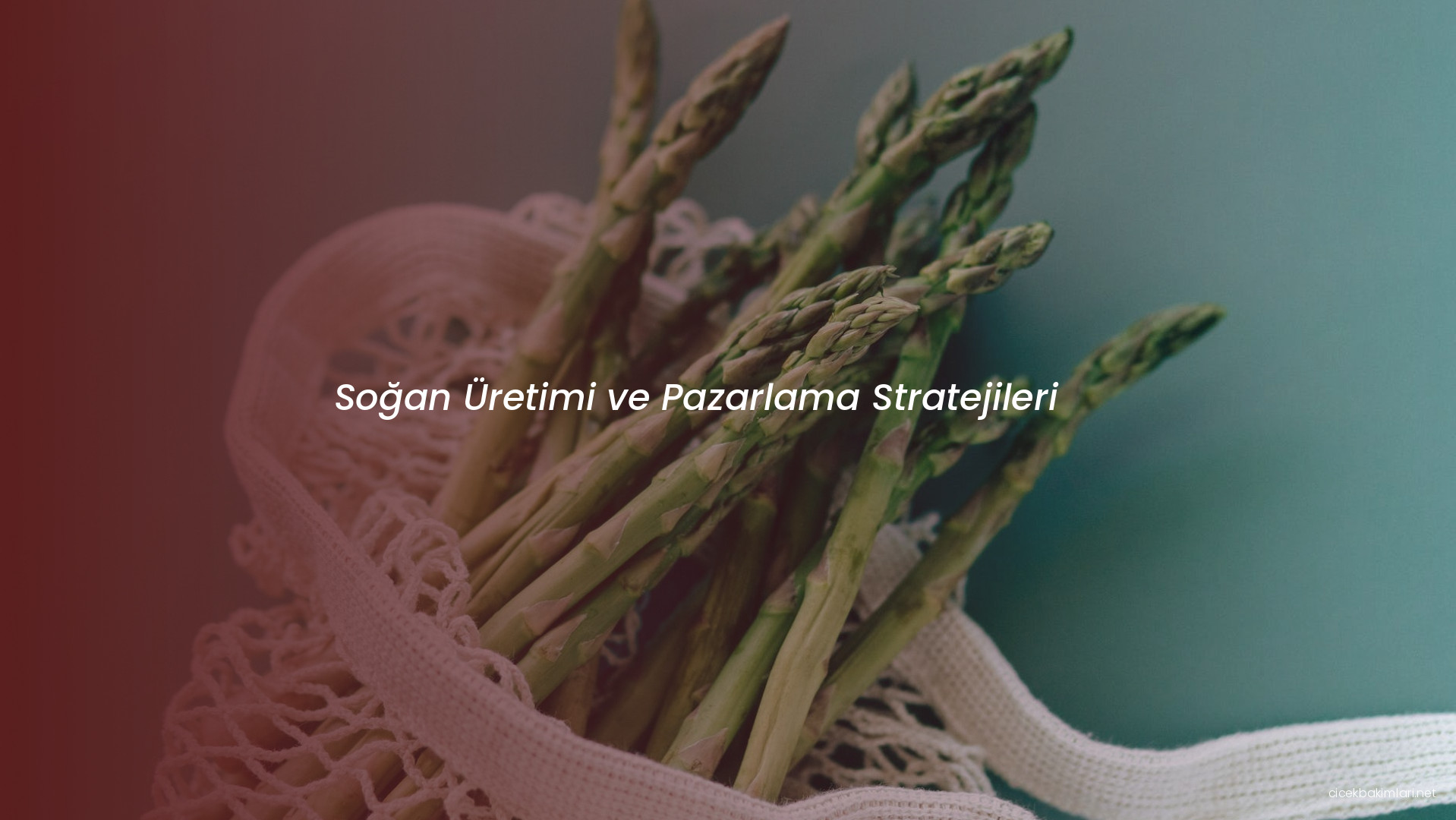 Soğan Üretimi ve Pazarlama Stratejileri
