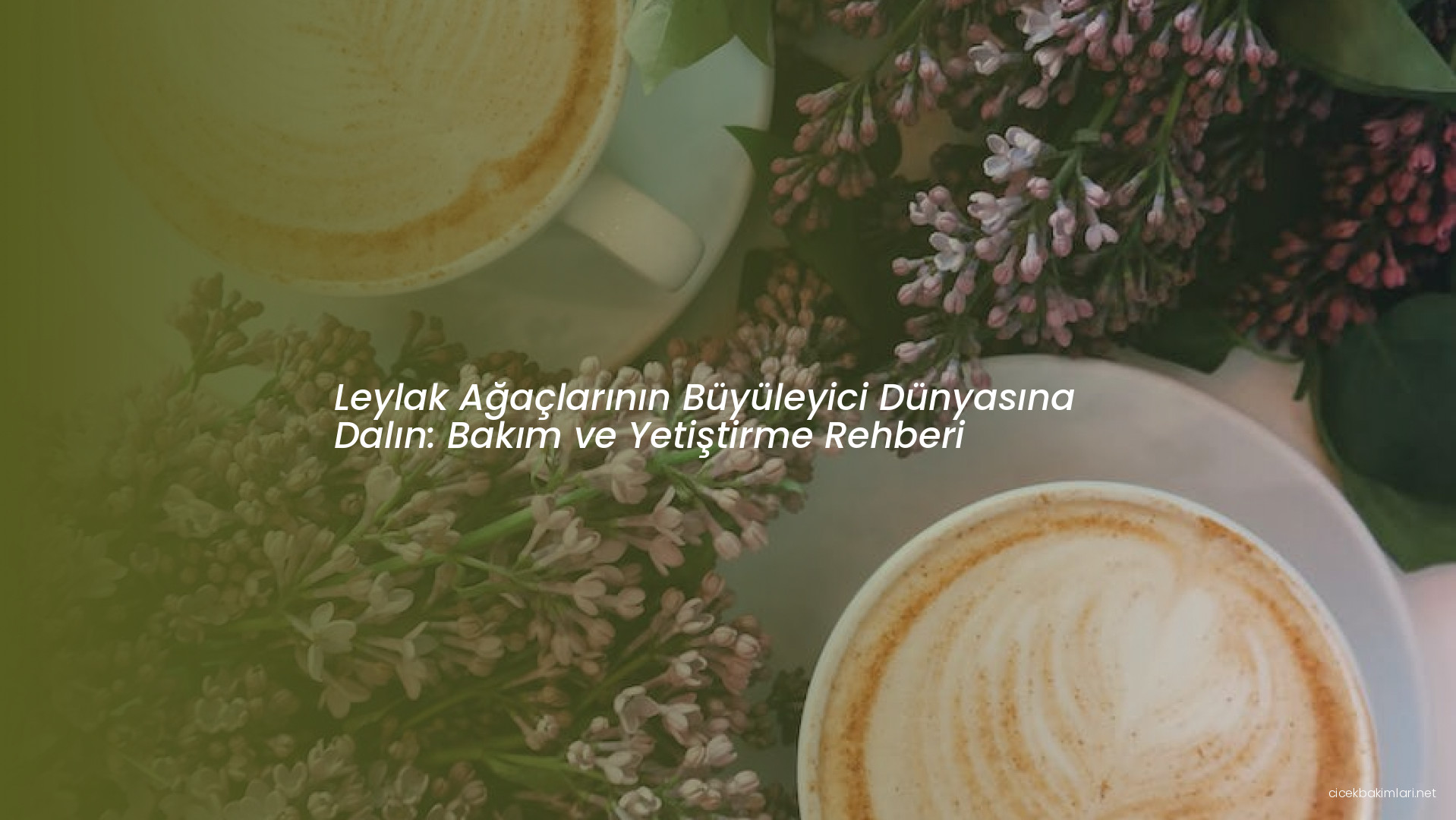 Leylak Ağaçlarının Büyüleyici Dünyasına Dalın: Bakım ve Yetiştirme Rehberi