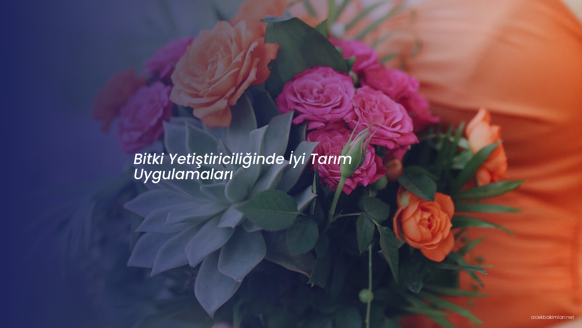Bitki Yetiştiriciliğinde İyi Tarım Uygulamaları
