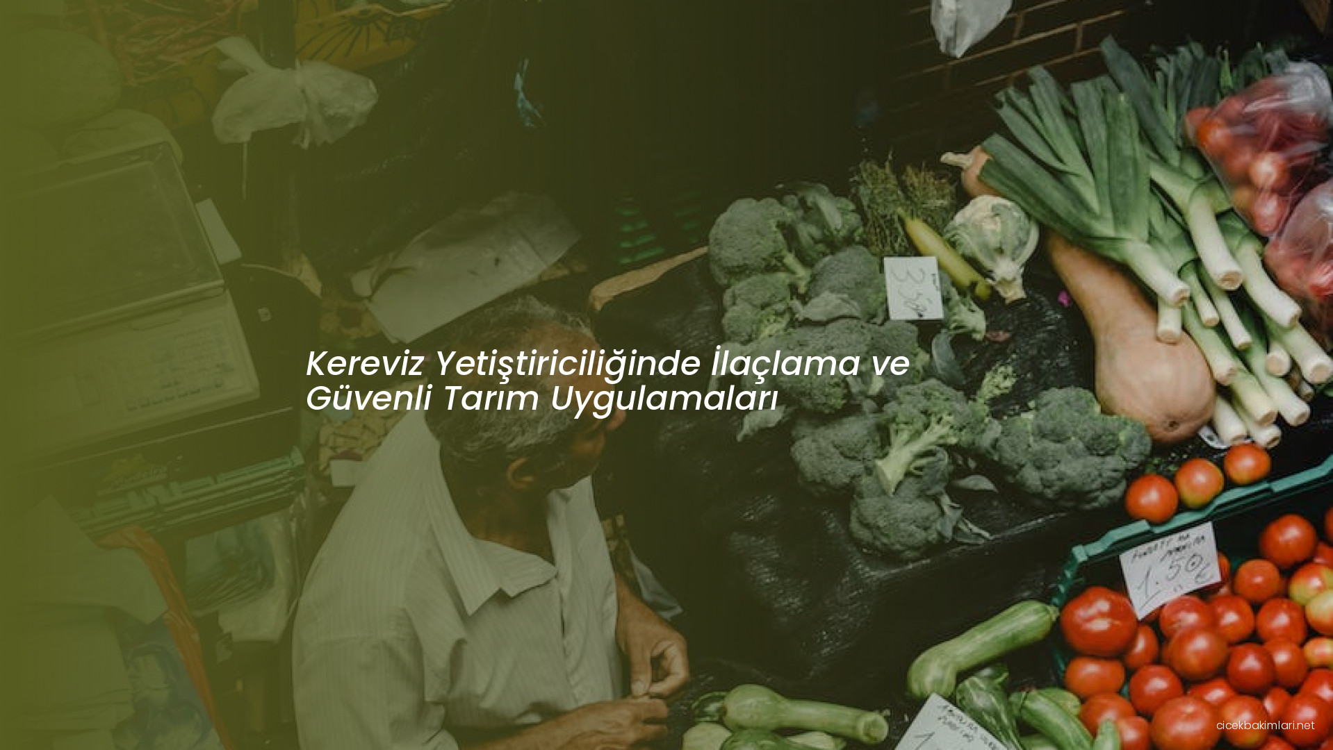 Kereviz Yetiştiriciliğinde İlaçlama ve Güvenli Tarım Uygulamaları