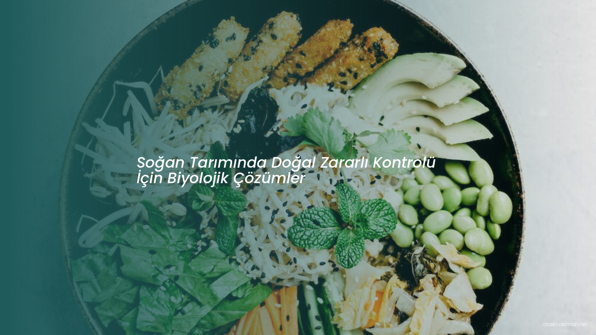 Soğan Tarımında Doğal Zararlı Kontrolü İçin Biyolojik Çözümler