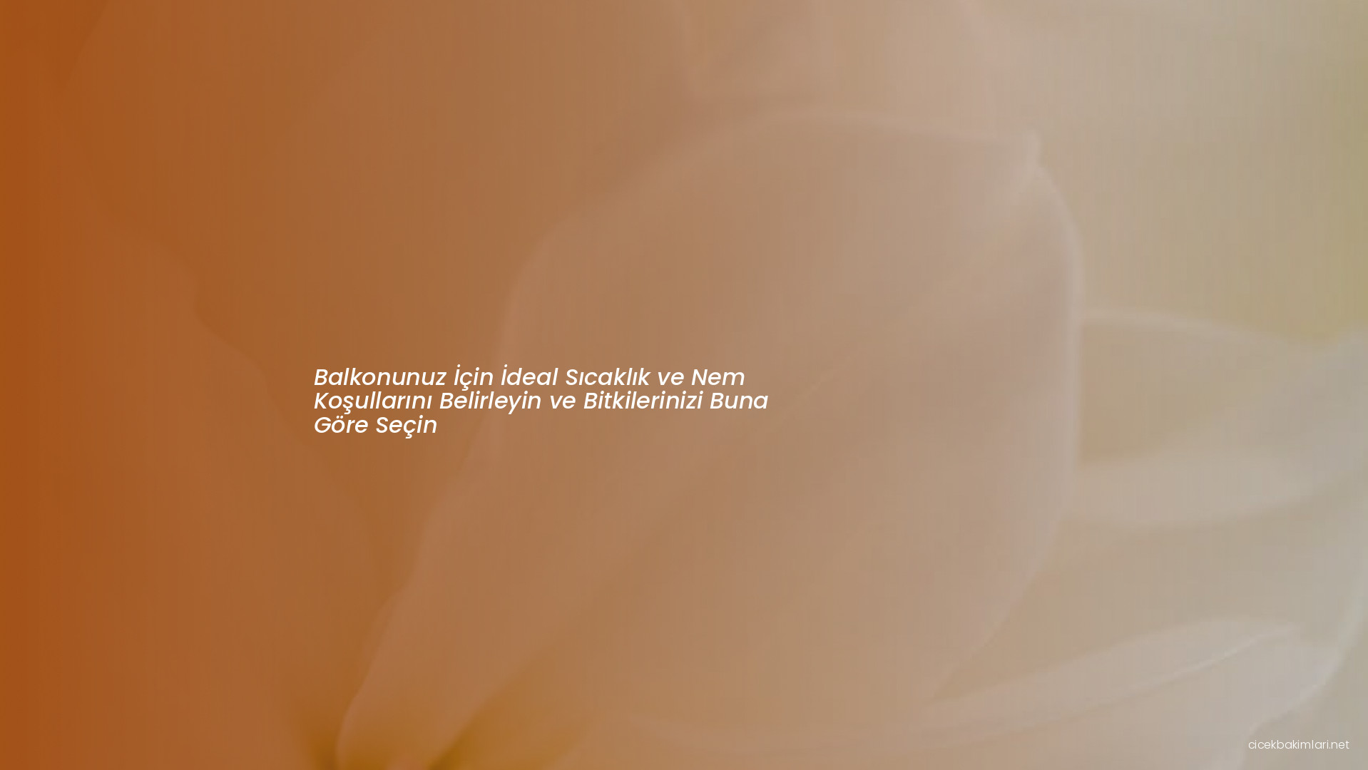 Balkonunuz İçin İdeal Sıcaklık ve Nem Koşullarını Belirleyin ve Bitkilerinizi Buna Göre Seçin