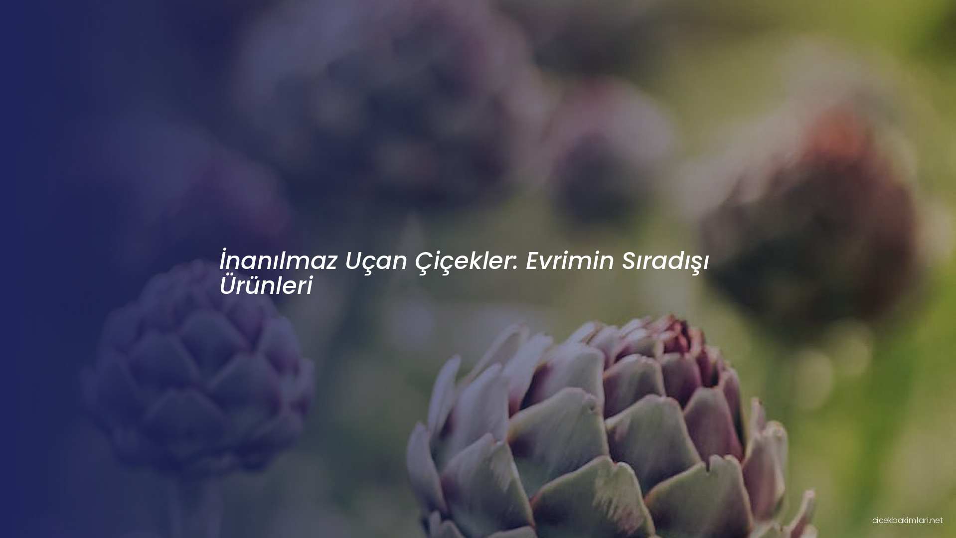 İnanılmaz Uçan Çiçekler: Evrimin Sıradışı Ürünleri
