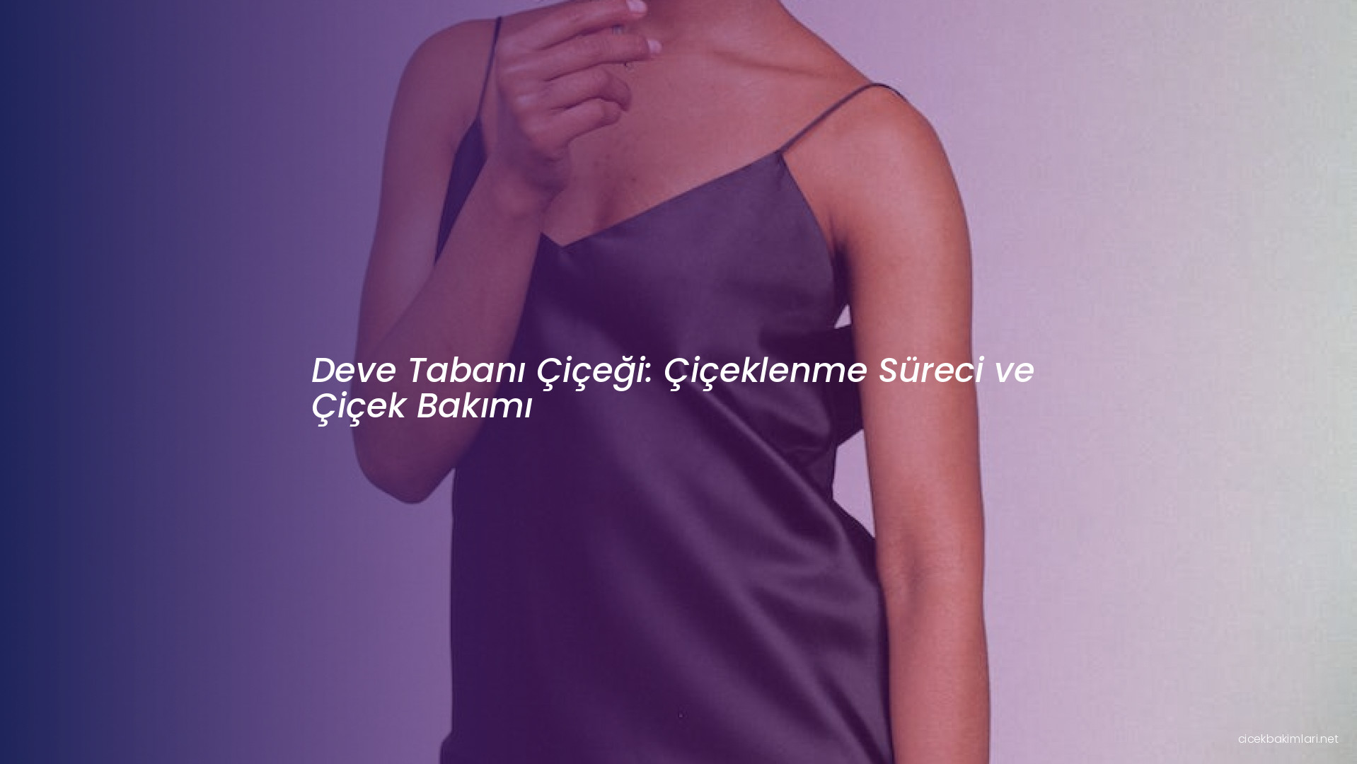 Deve Tabanı Çiçeği: Çiçeklenme Süreci ve Çiçek Bakımı