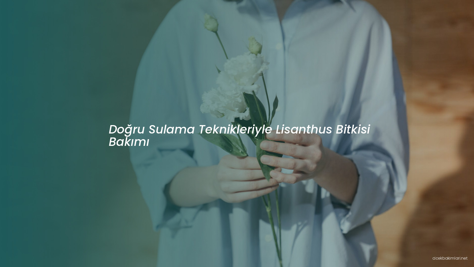 Doğru Sulama Teknikleriyle Lisanthus Bitkisi Bakımı