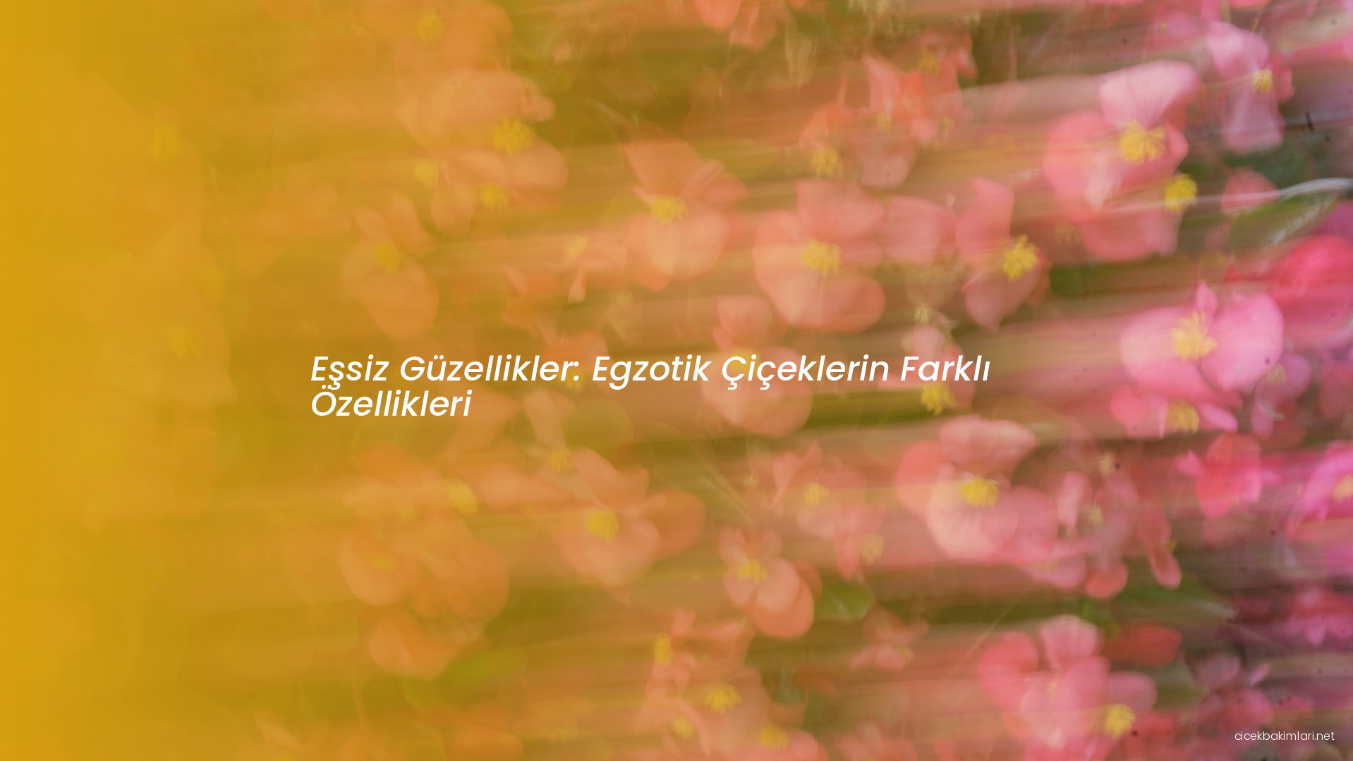 Eşsiz Güzellikler: Egzotik Çiçeklerin Farklı Özellikleri