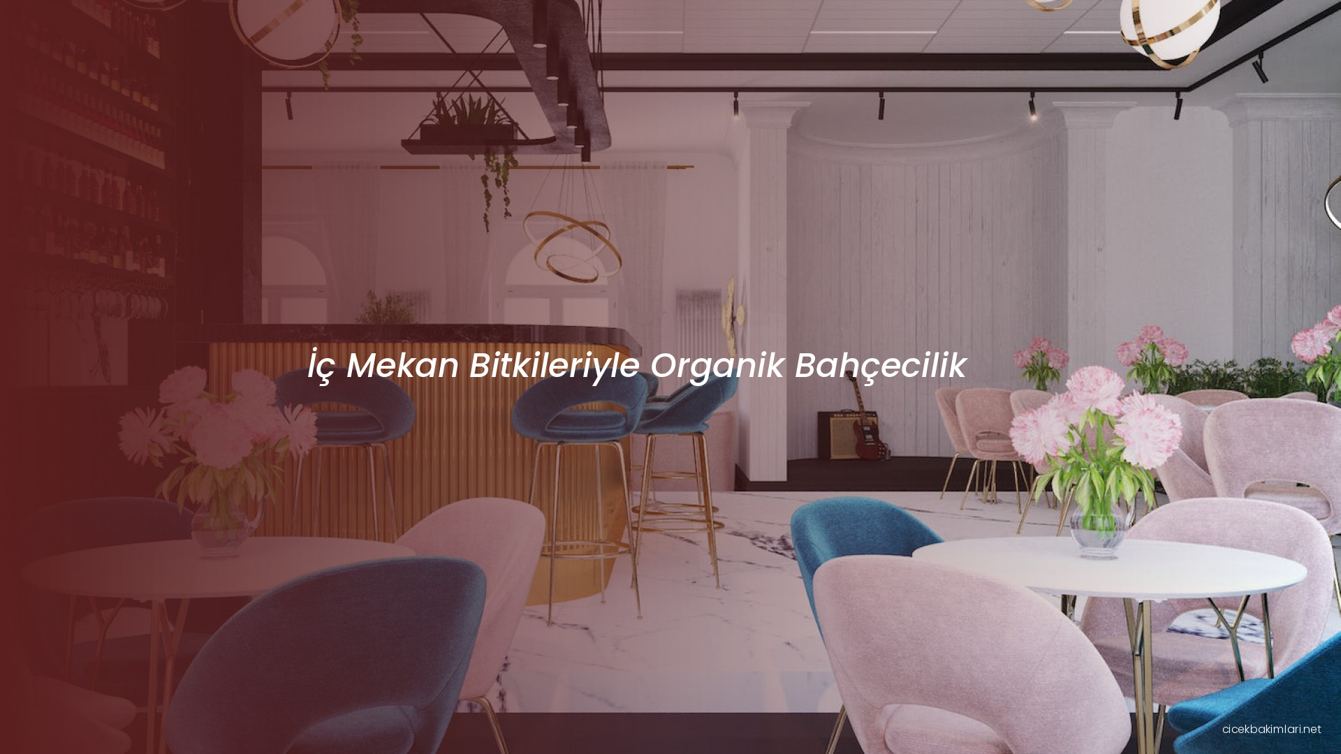 İç Mekan Bitkileriyle Organik Bahçecilik