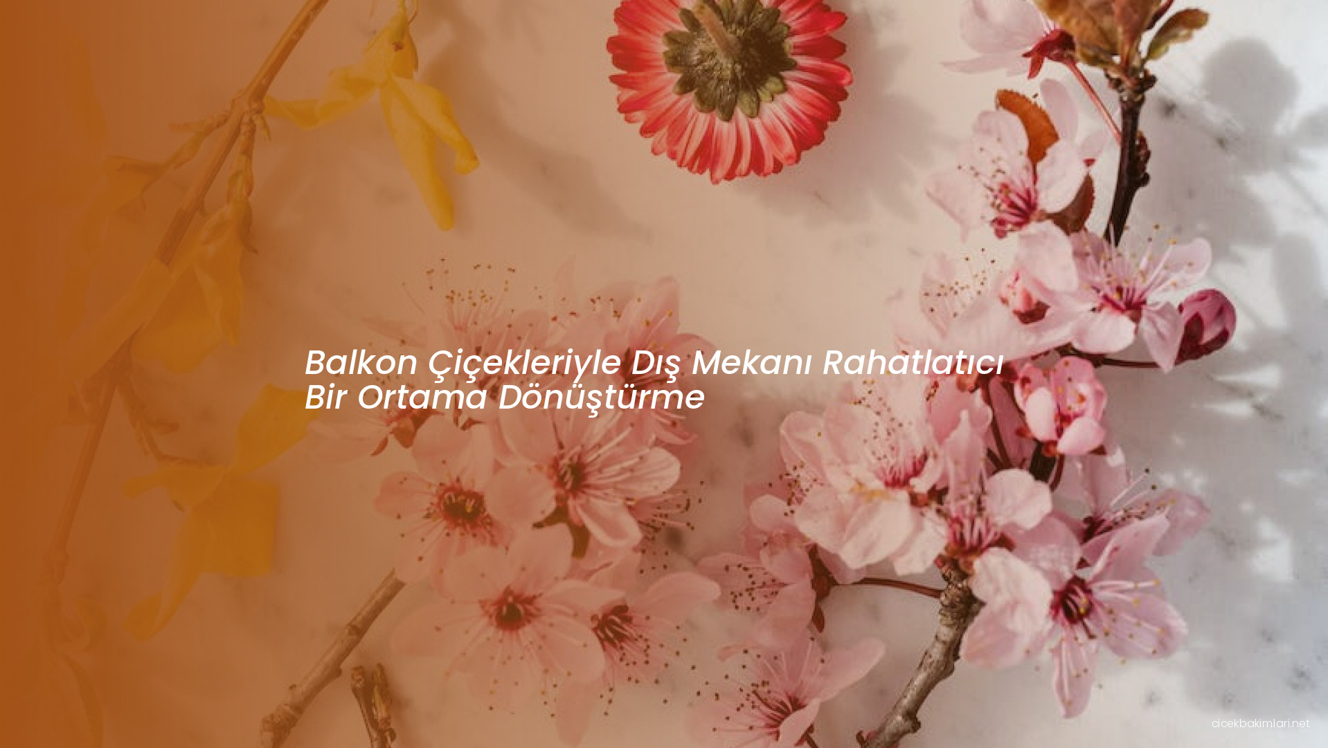 Balkon Çiçekleriyle Dış Mekanı Rahatlatıcı Bir Ortama Dönüştürme