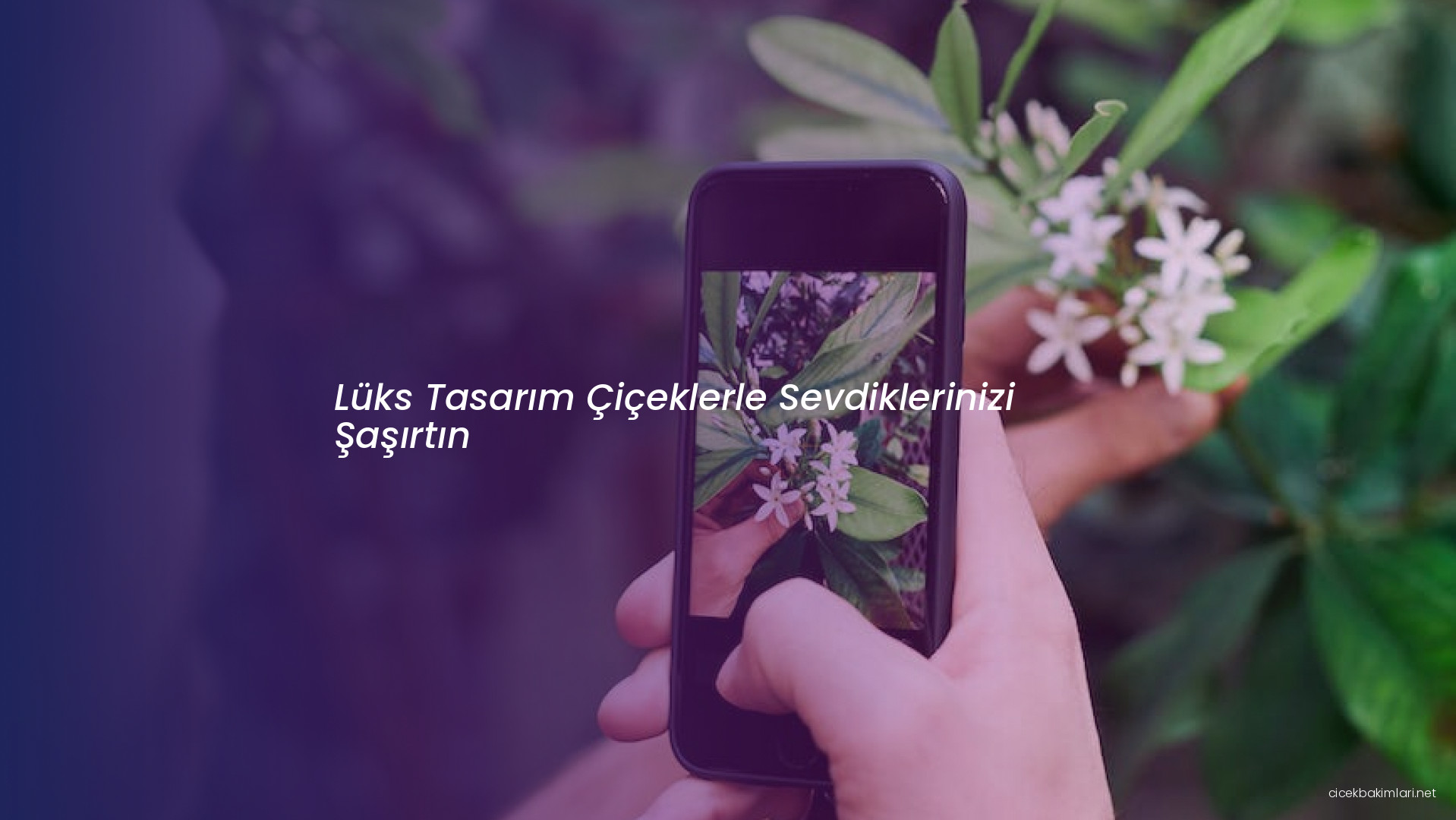 Lüks Tasarım Çiçeklerle Sevdiklerinizi Şaşırtın